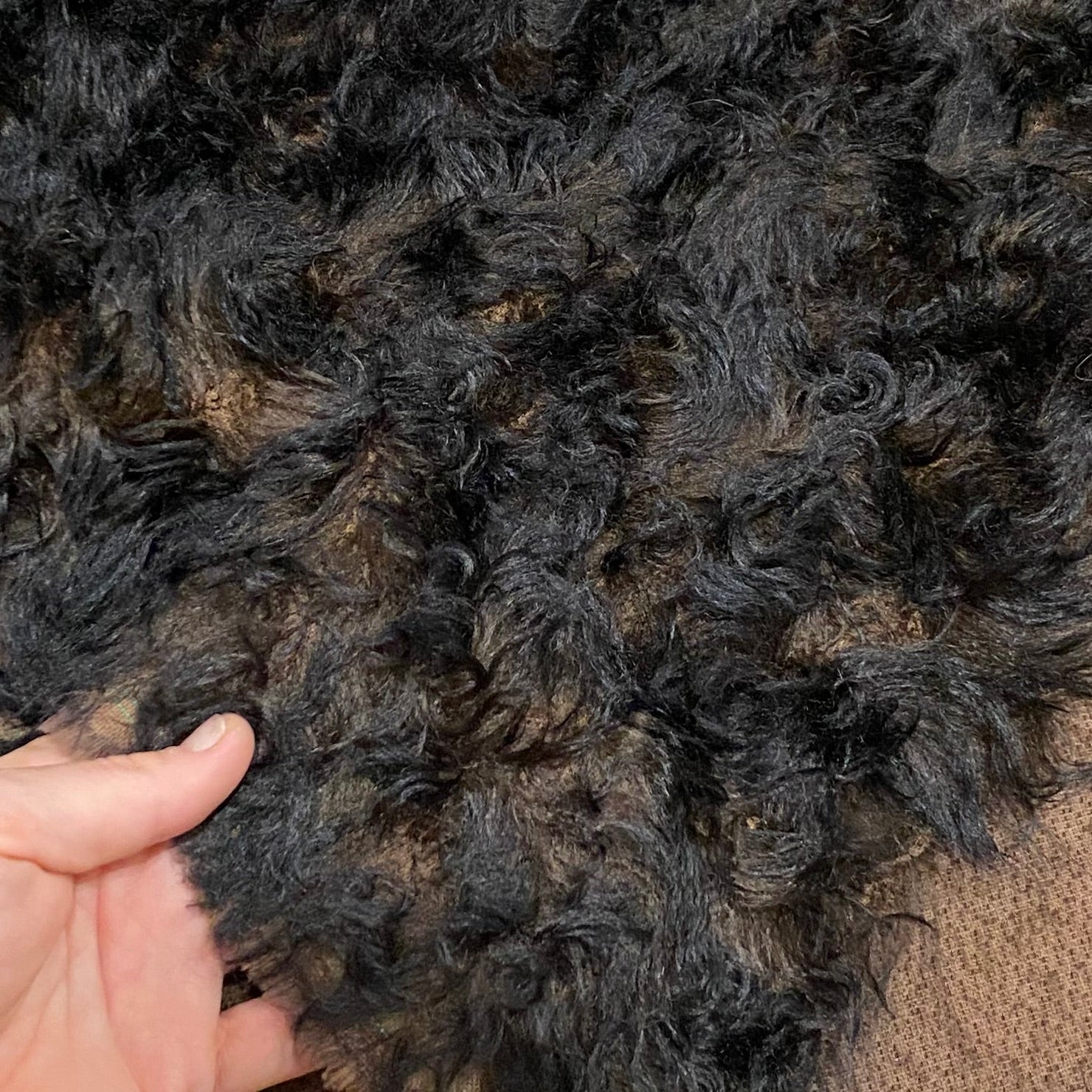 LIMITED Darkest Grizzly - 41mm Tipped Rosette Mohair