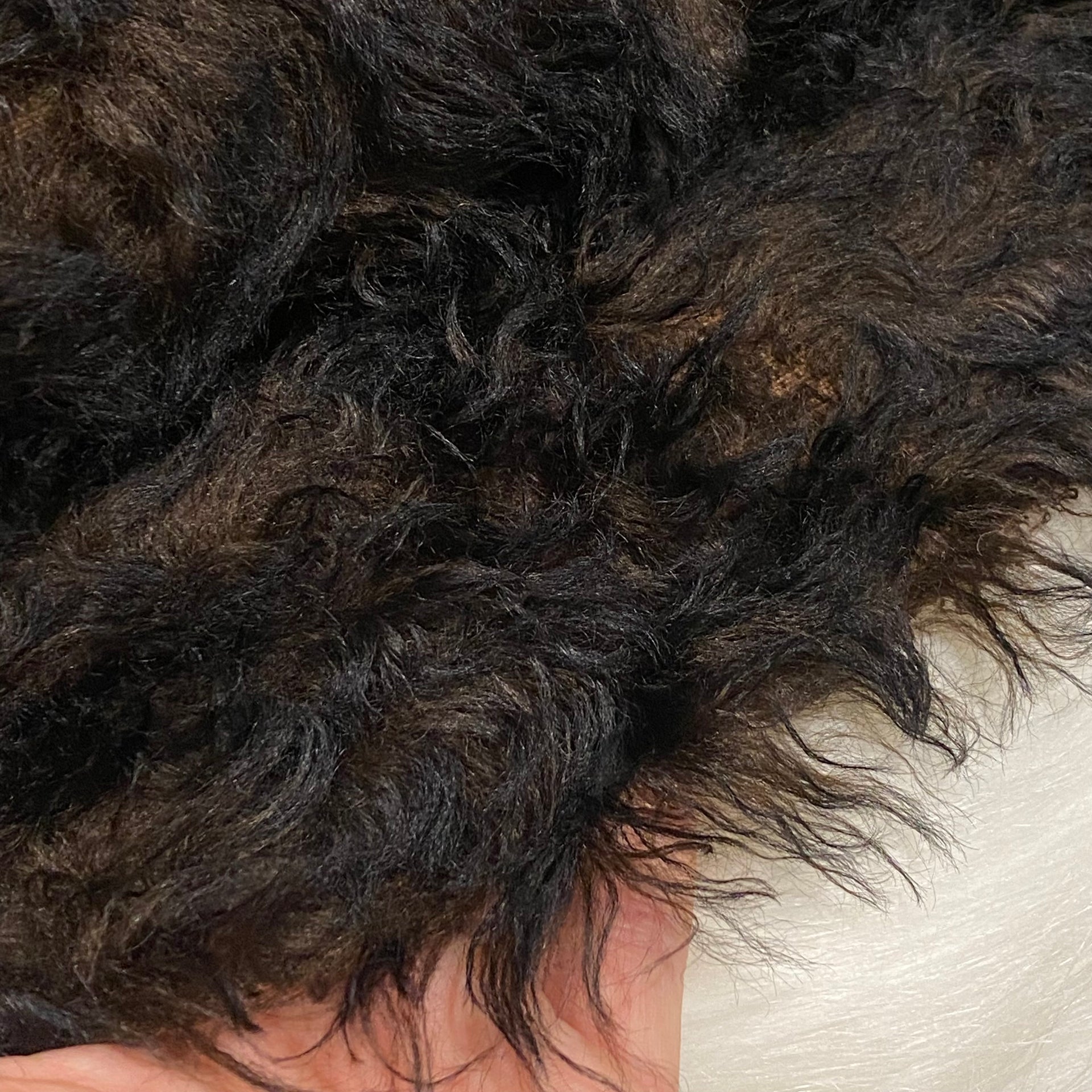 LIMITED Darkest Grizzly - 41mm Tipped Rosette Mohair