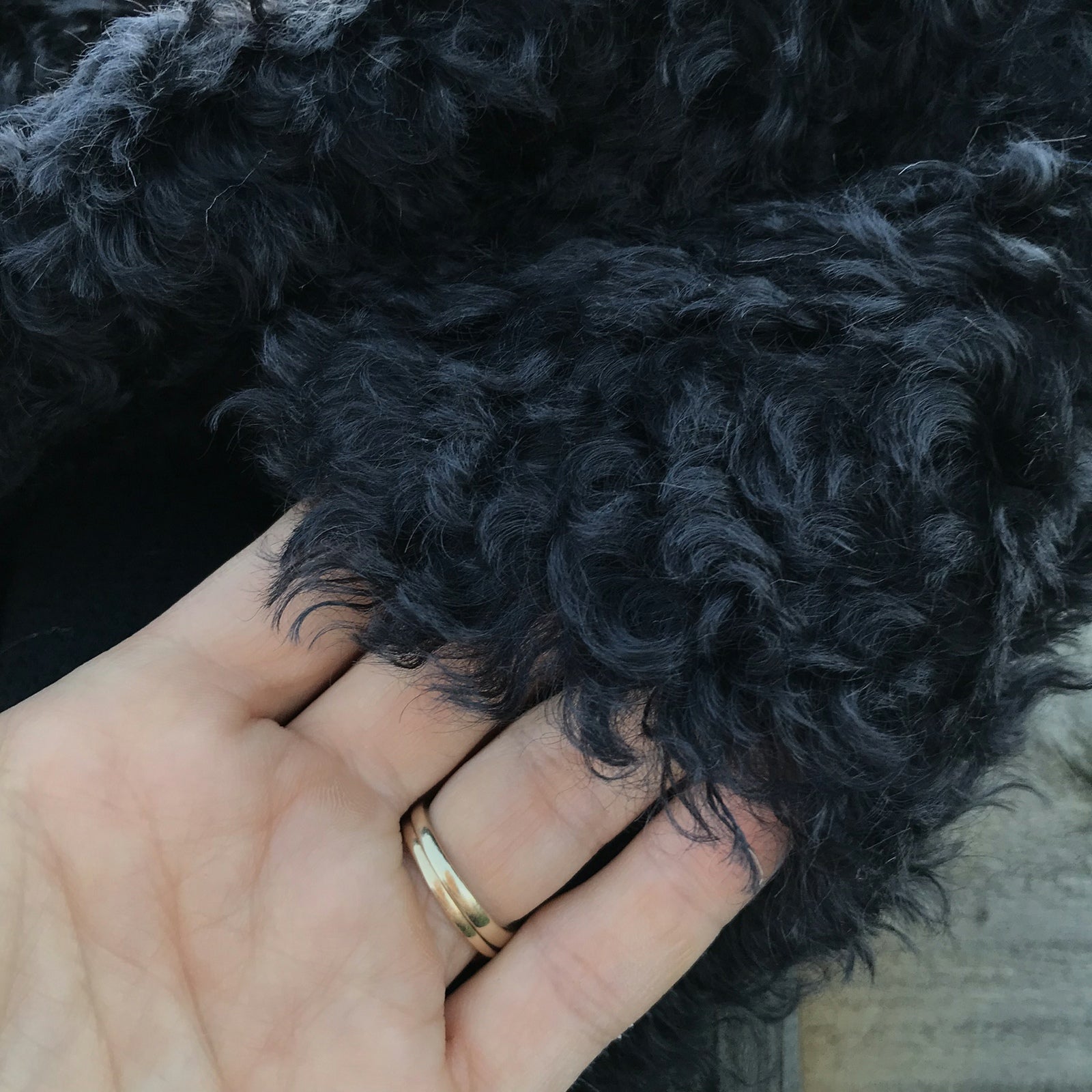 Sable - Black curly Kid Mohair