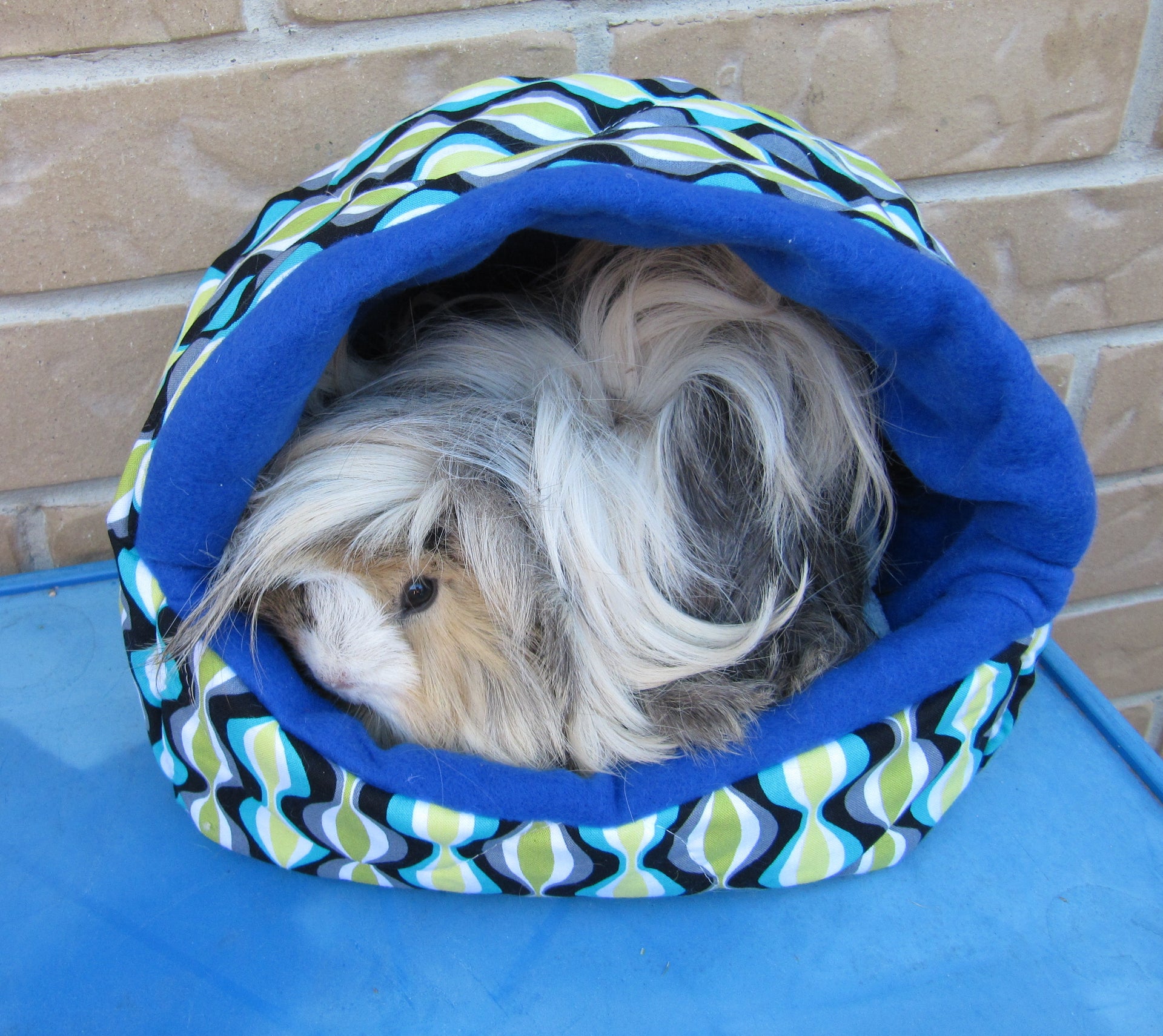 Digital PATTERN - Guinea Pig Igloo and Cavy Couch