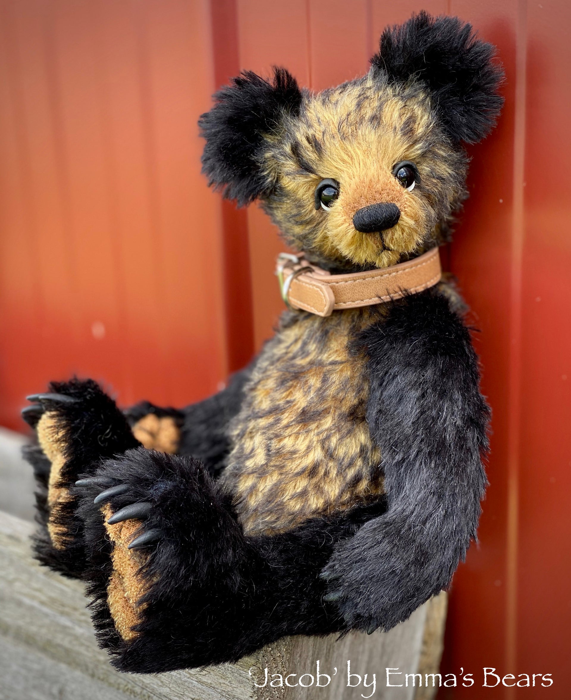 Jacob - 12" Mohair Artist Bear by Emmas Bears - OOAK