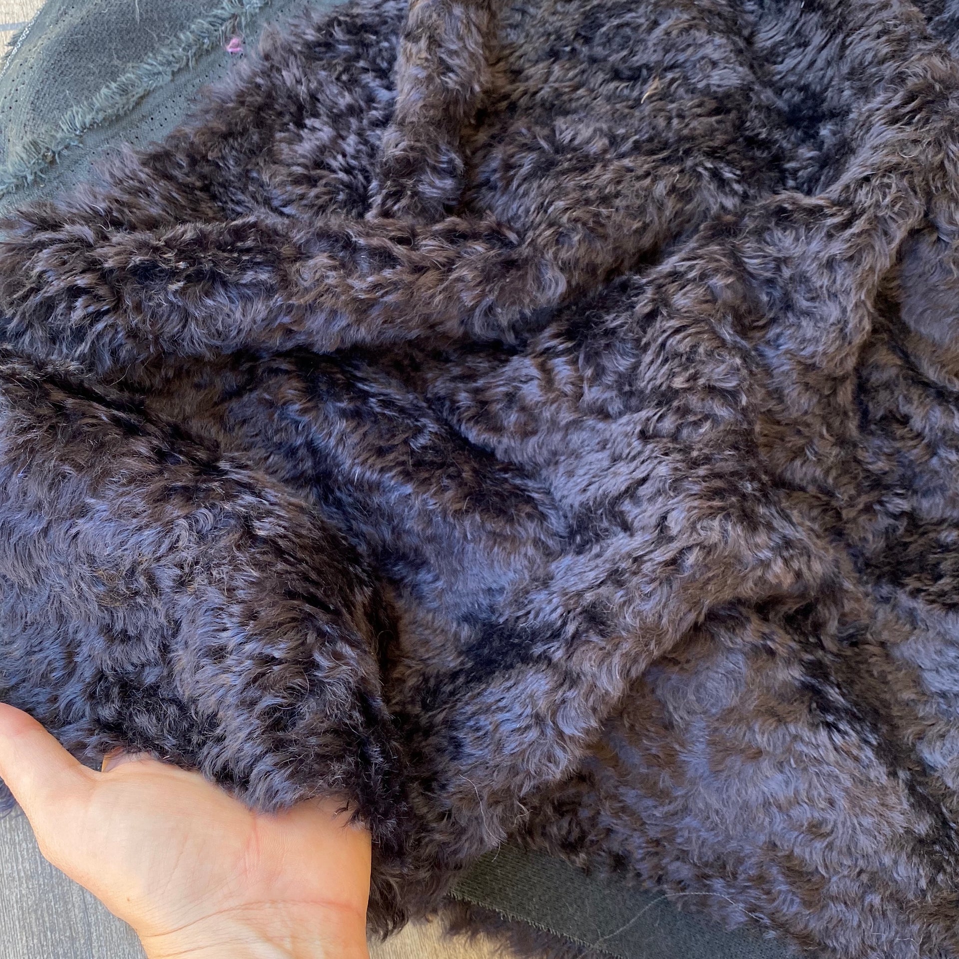 Sable - Black curly Kid Mohair