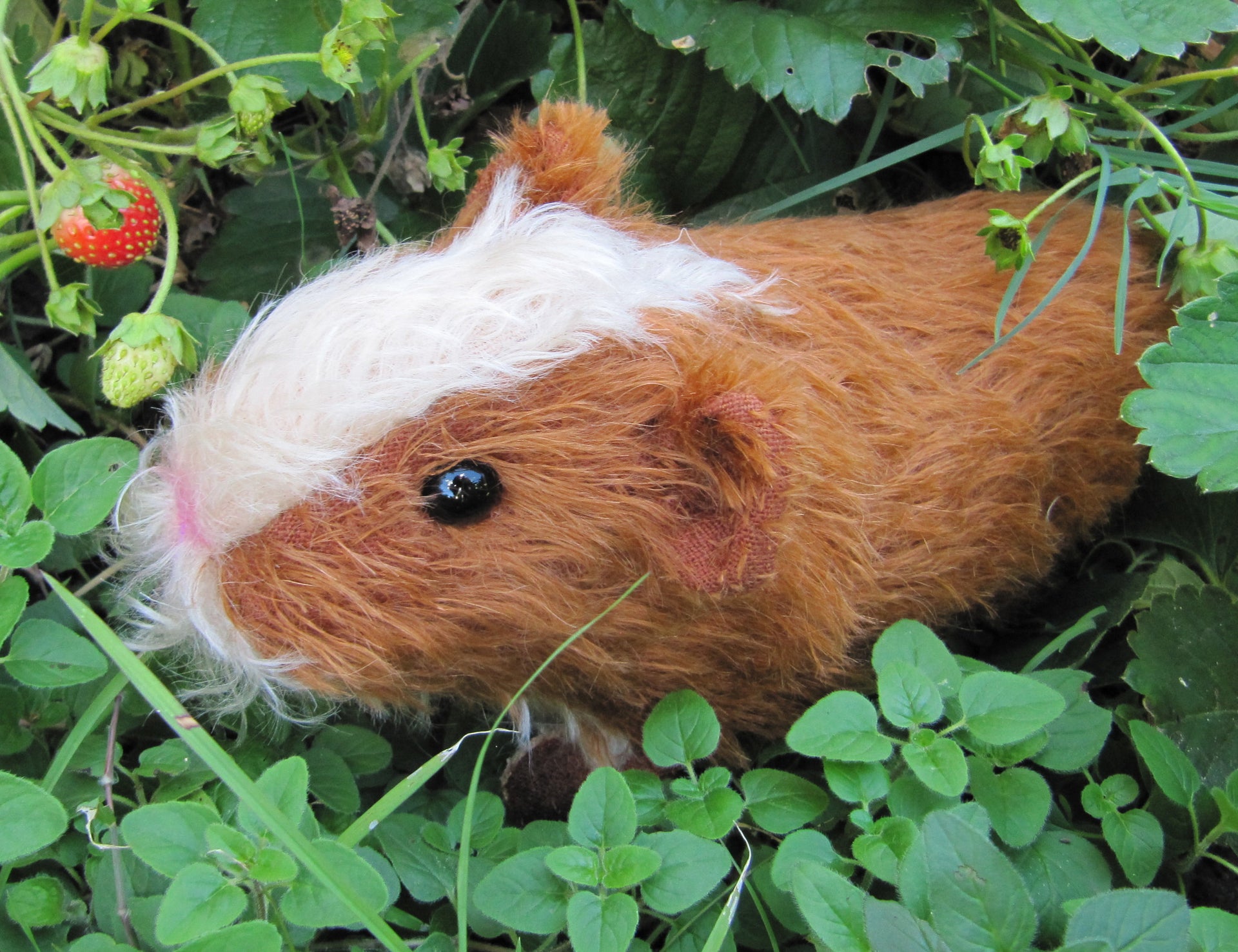 Digital PATTERN - Realistic Guinea Pig Soft Sculpture