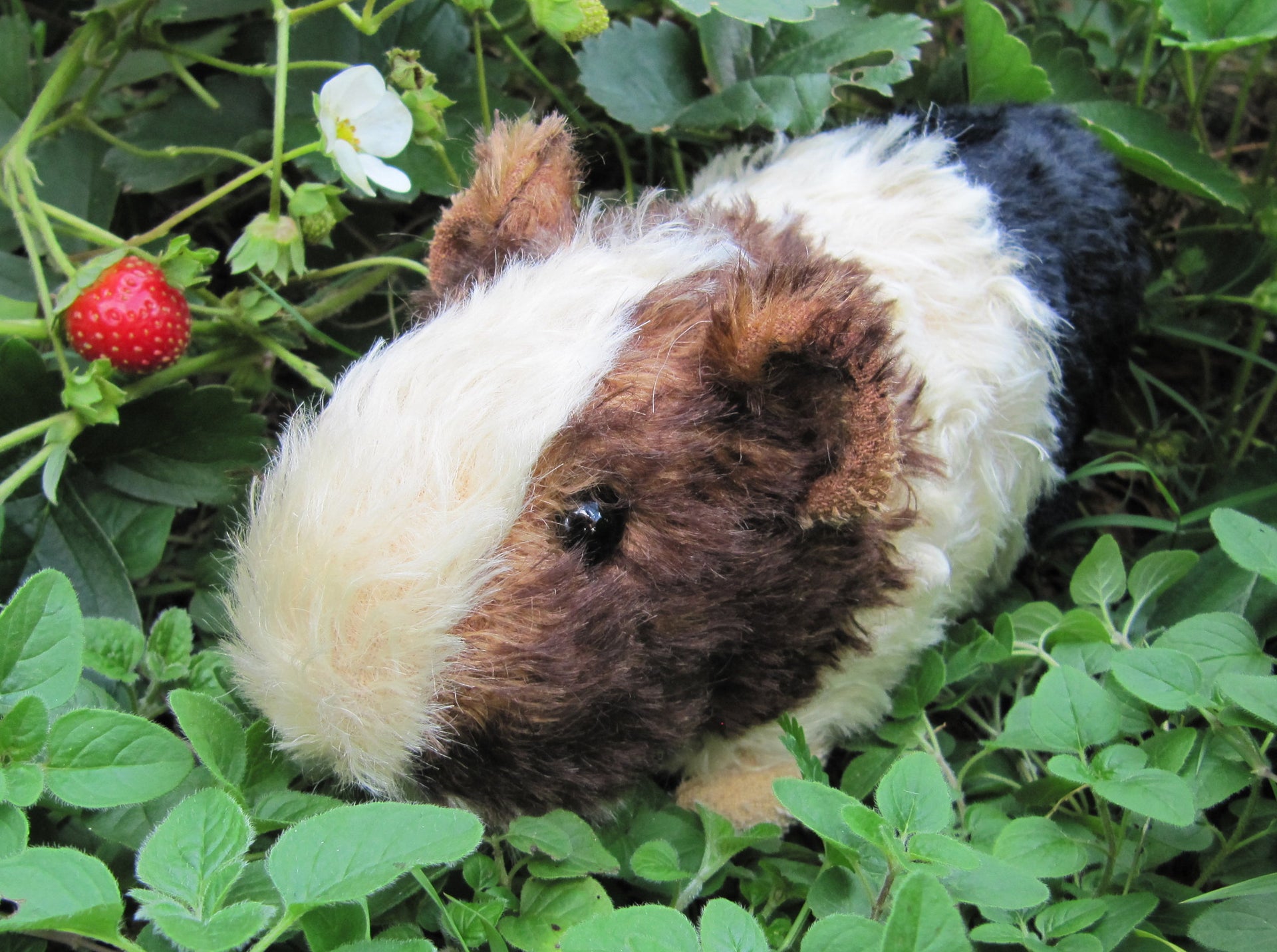 Digital PATTERN - Realistic Guinea Pig Soft Sculpture