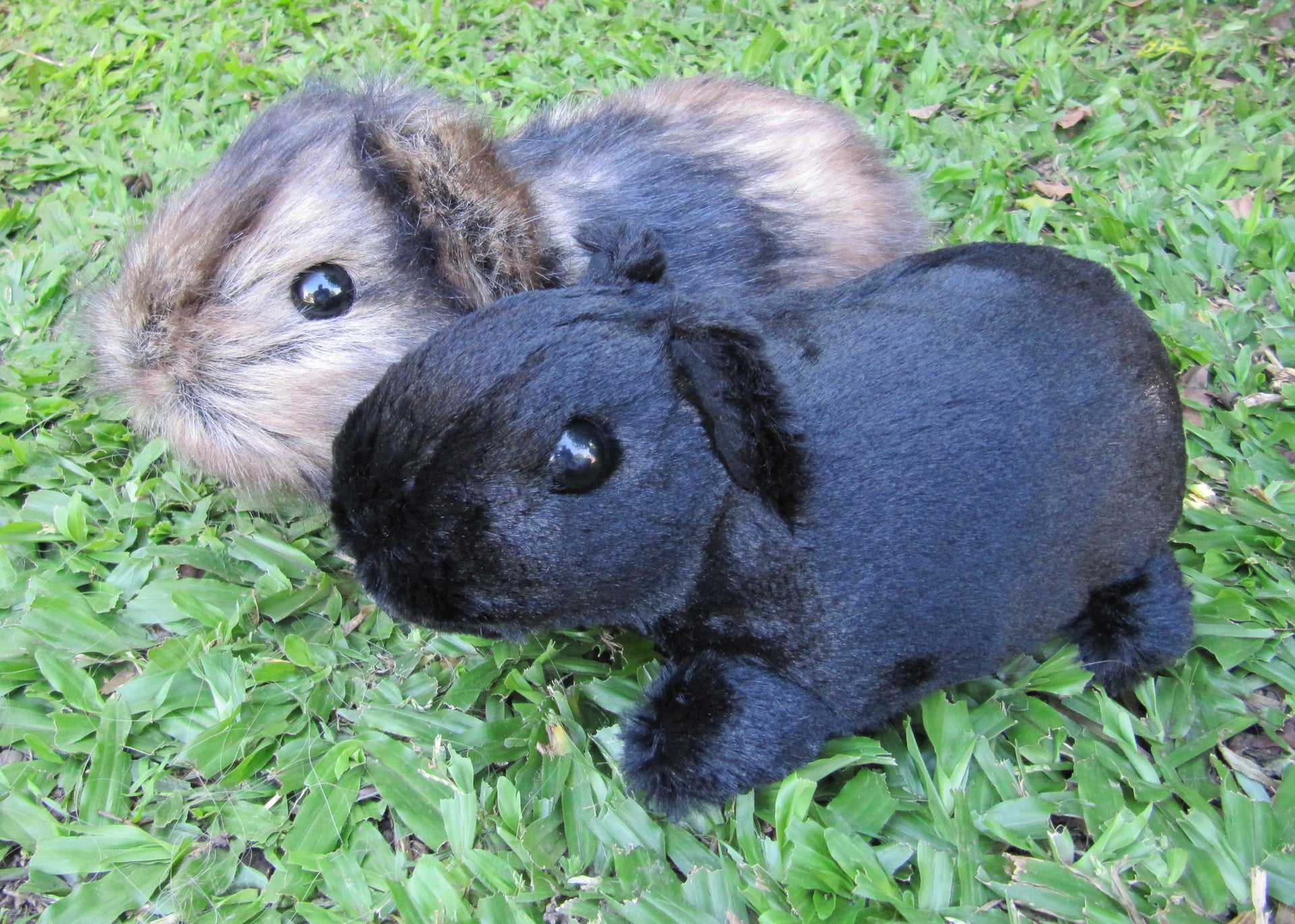 Digital PATTERN - Realistic Guinea Pig Soft Sculpture