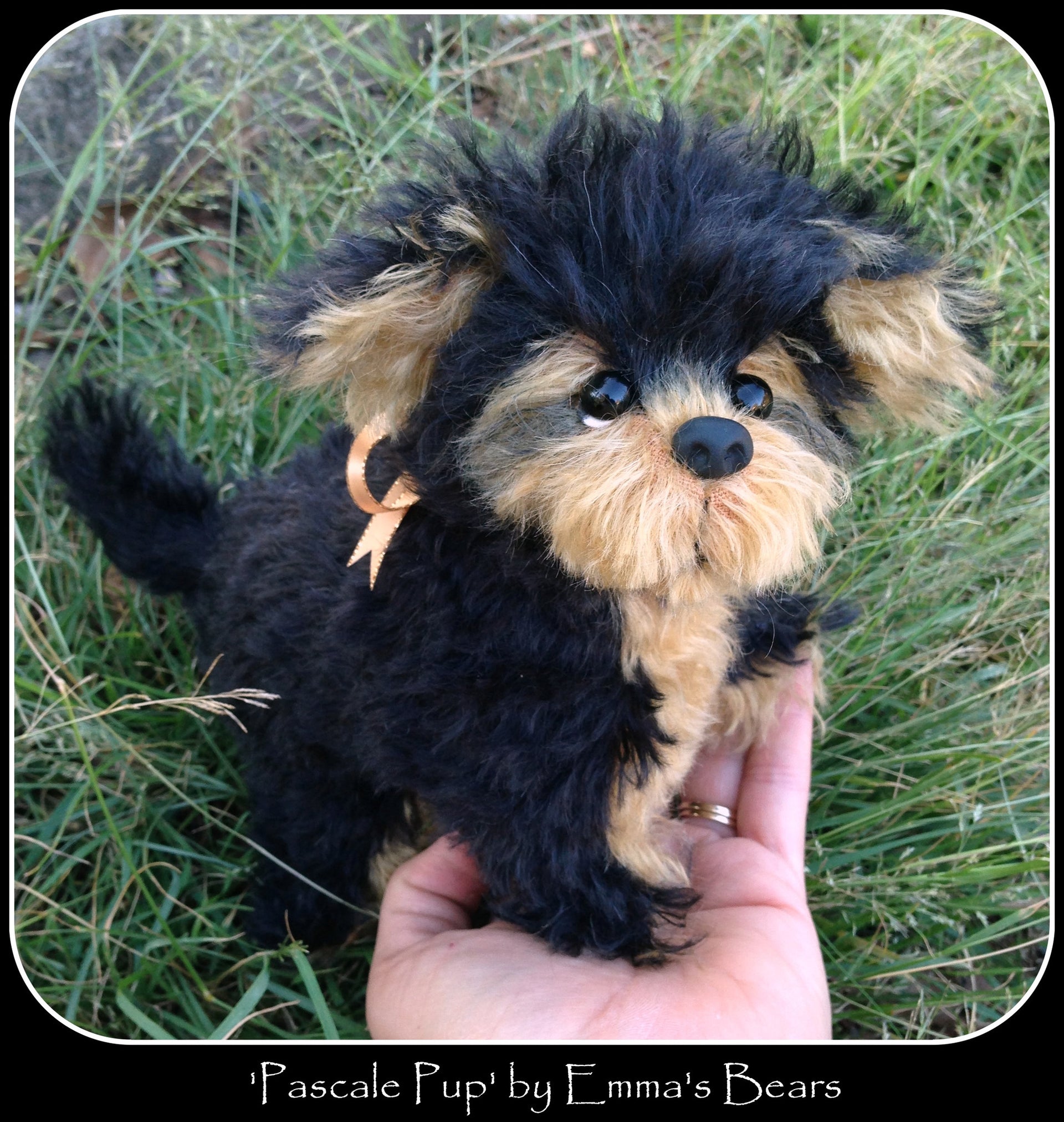 Sable - Black curly Kid Mohair