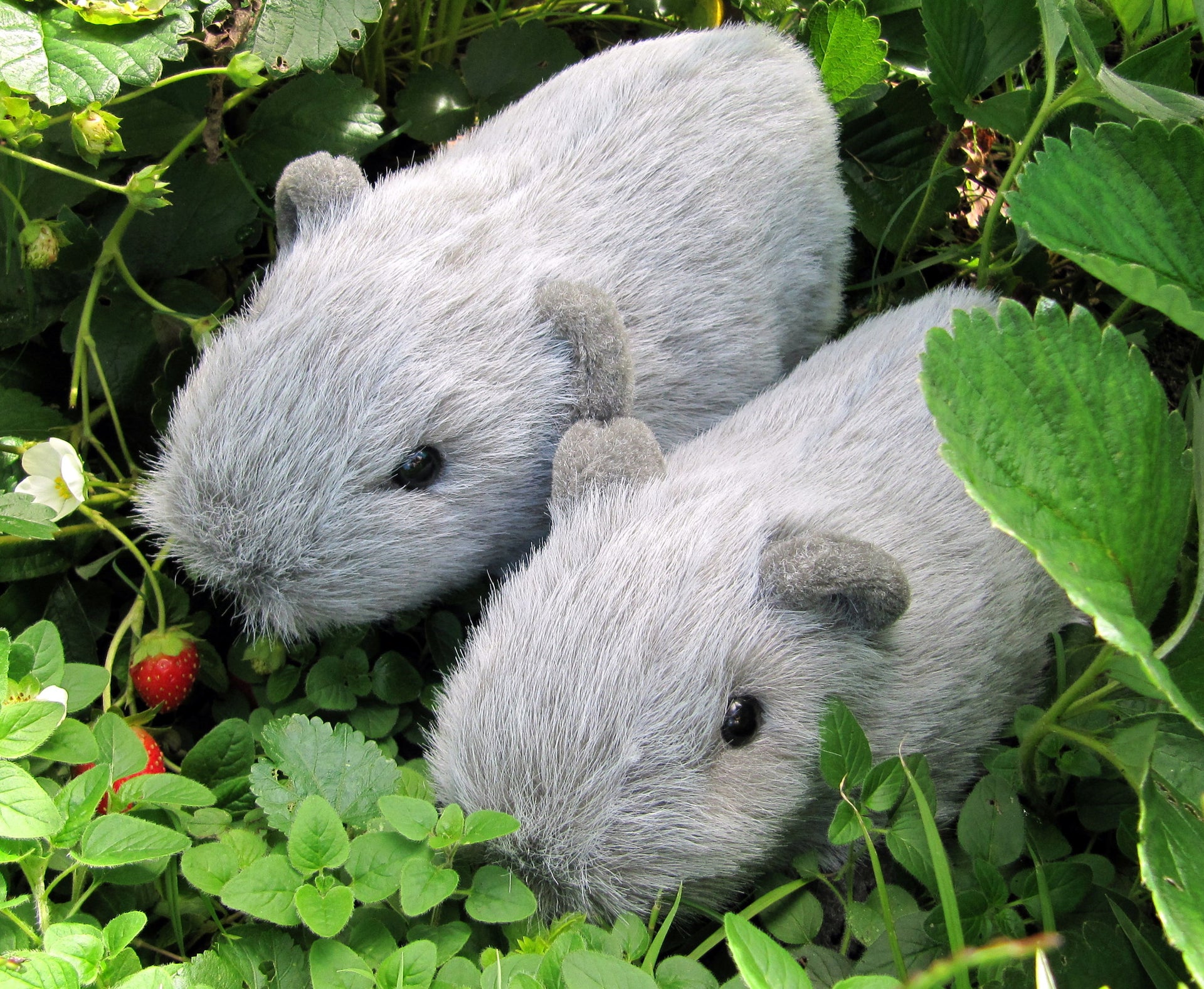 Digital PATTERN - Realistic Guinea Pig Soft Sculpture