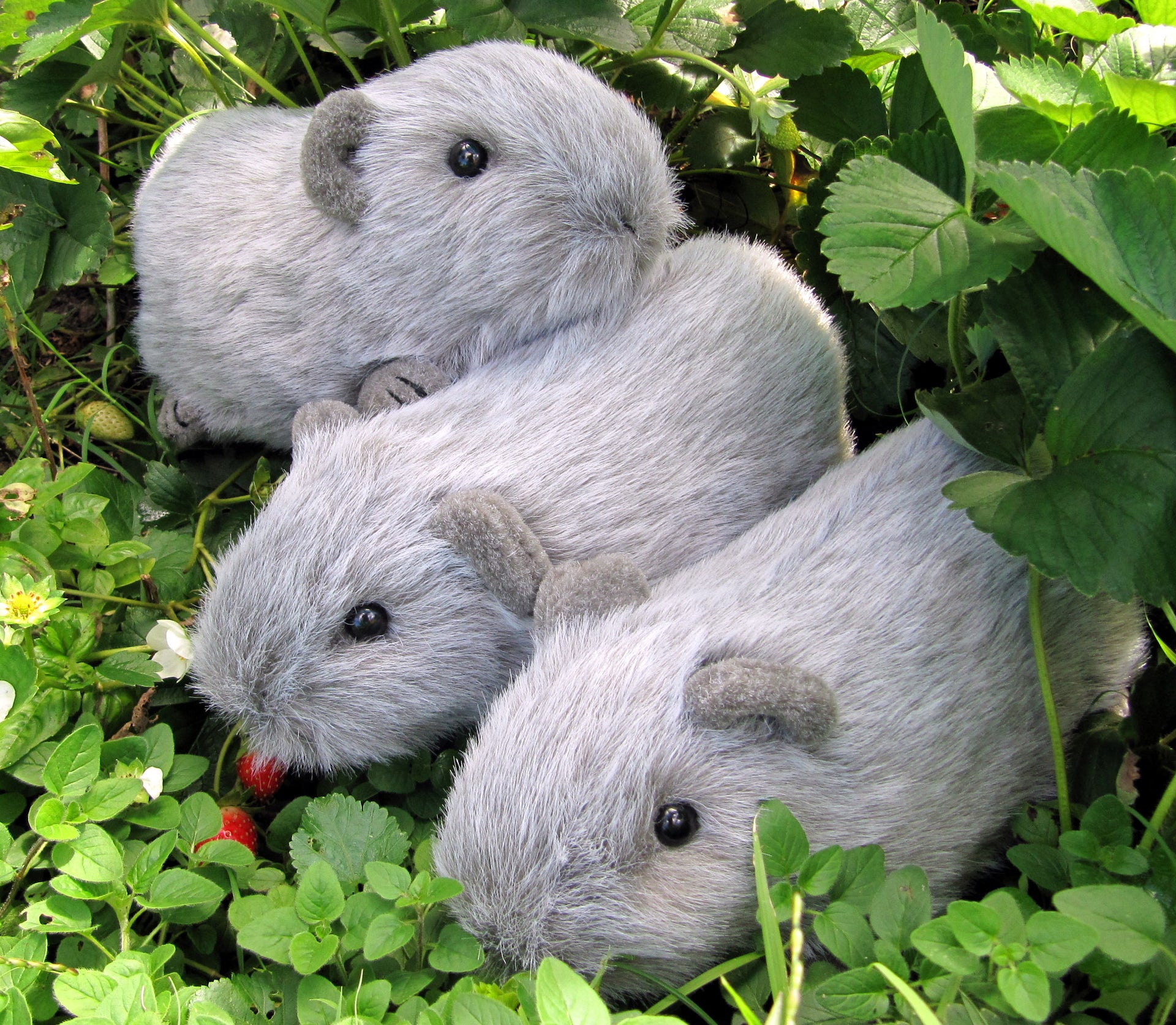 Digital PATTERN - Realistic Guinea Pig Soft Sculpture