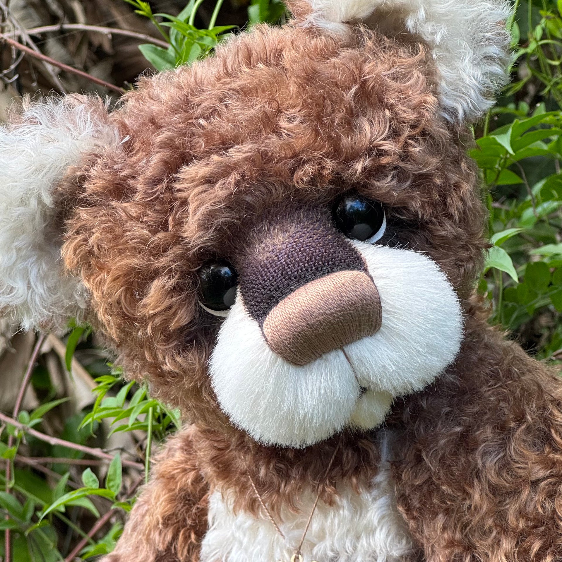 Jarrah - 21" Hand-dyed curly kid mohair Artist Bear by Emma's Bears - OOAK