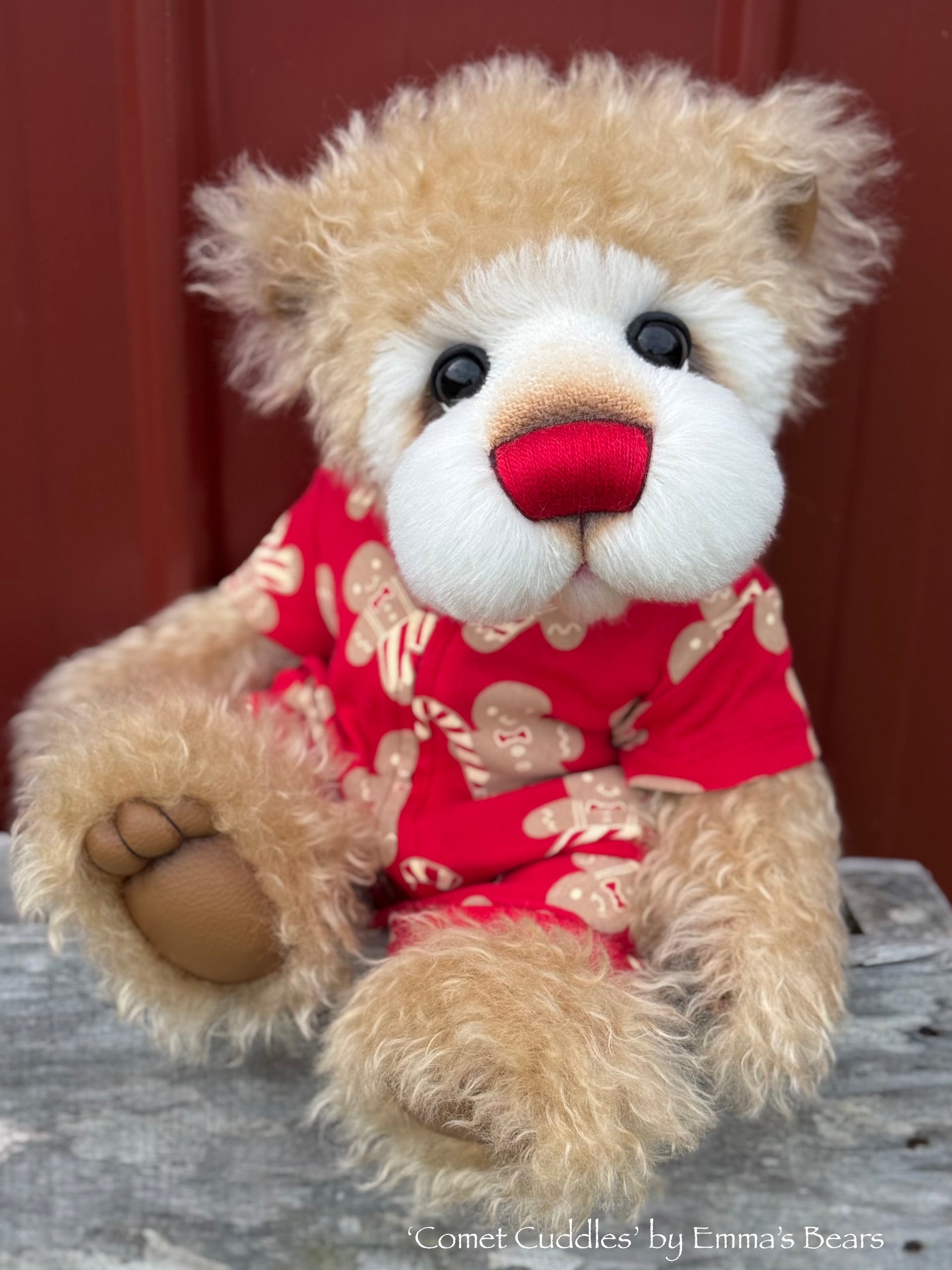 Comet Cuddles - 17" Christmas 2024 Artist Bear by Emma's Bears - OOAK