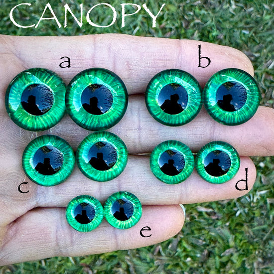 Hand Painted Eyes - Canopy
