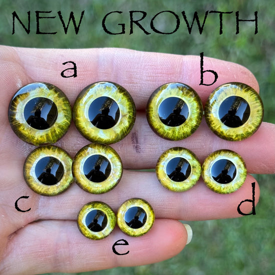 Hand Painted Eyes - New Growth
