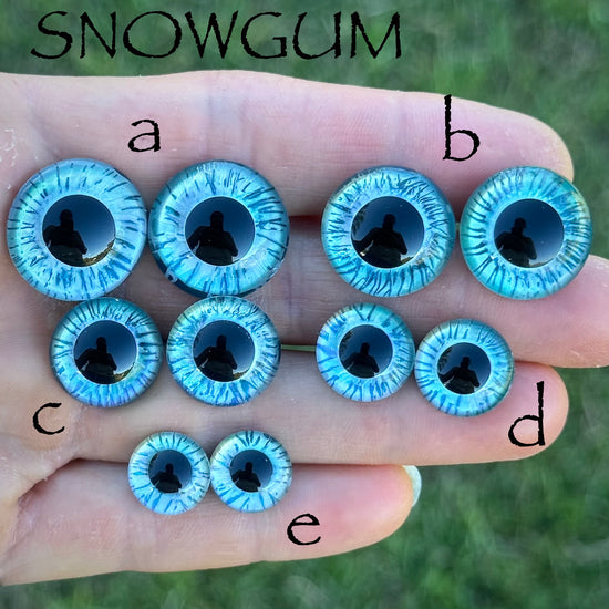 Hand Painted Eyes - Snowgum