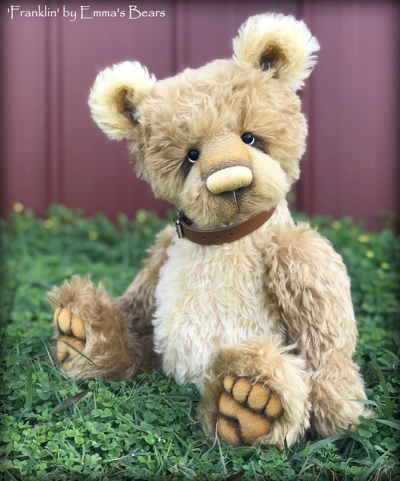 Franklin - 17" gold mohair Artist Bear by Emma's Bears - OOAK