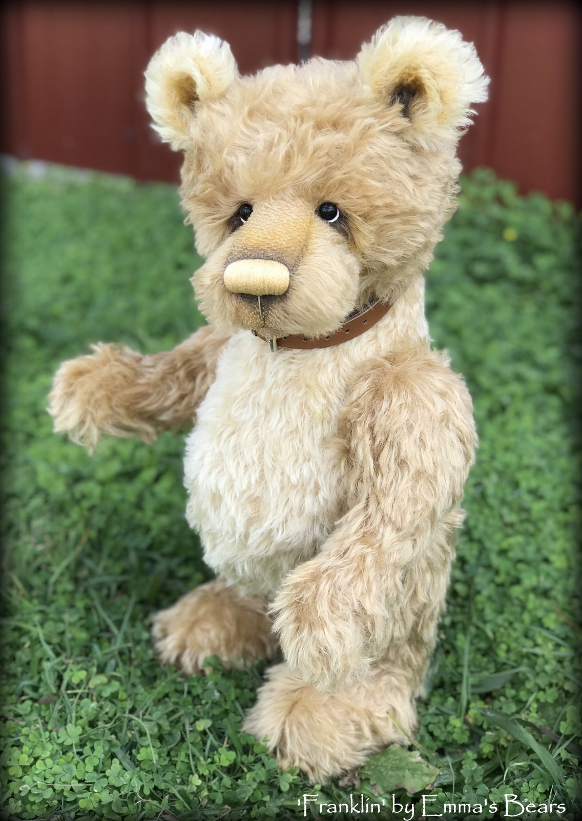 Franklin - 17" gold mohair Artist Bear by Emma's Bears - OOAK