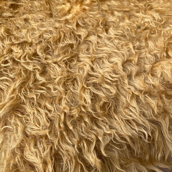LIMITED Taffy Shaggy - 38mm Distressed Mohair