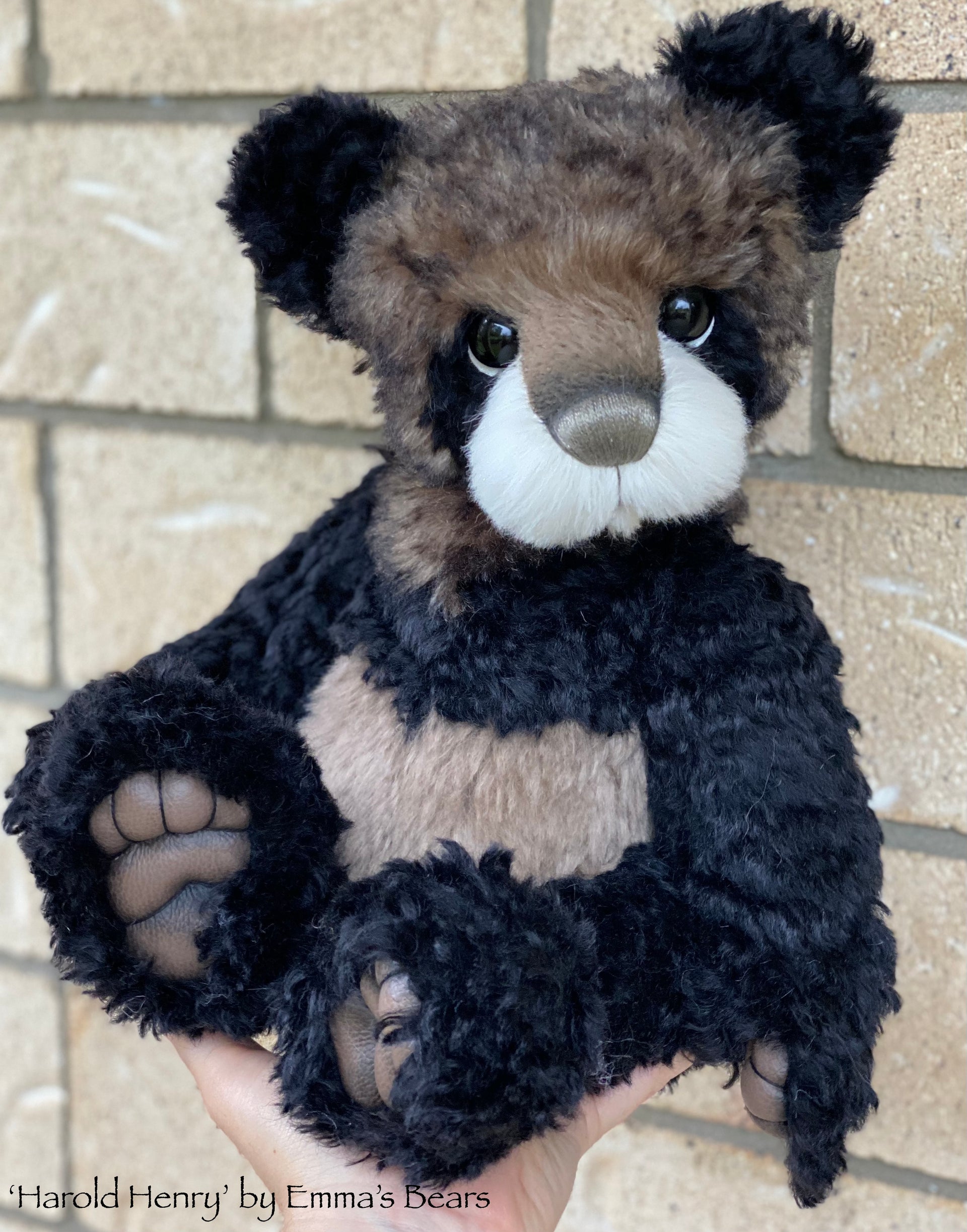 Harold Henry - 18" Kid Mohair and Alpaca Artist Baby Bear by Emma's Bears - OOAK