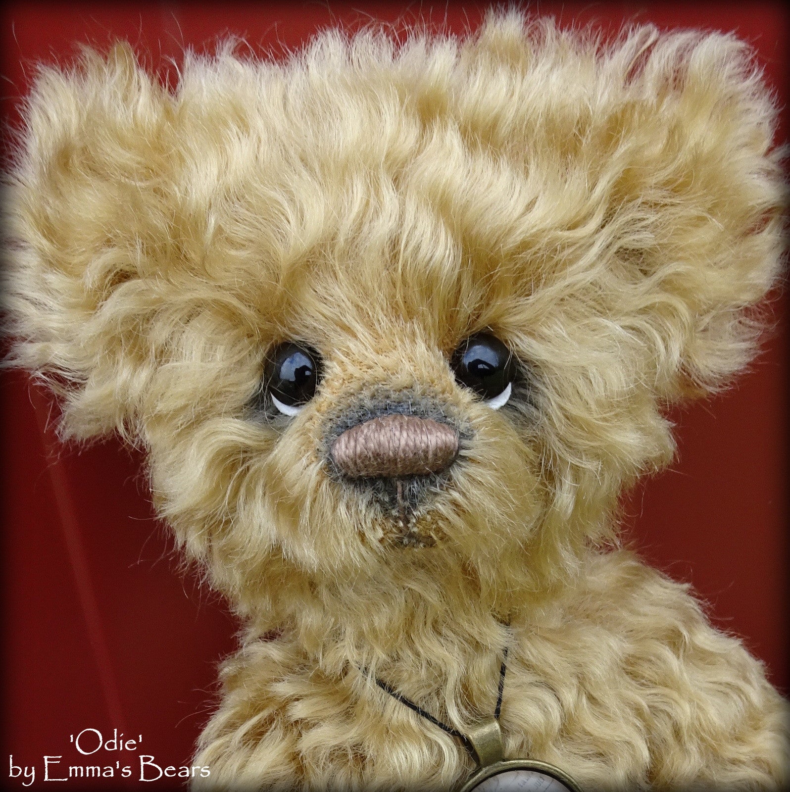 Odie - 9in kid mohair Artist Bear by Emma's Bears