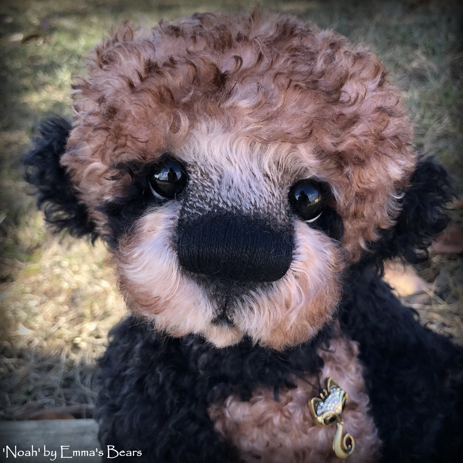 Noah - 16" curly kid mohair Artist Bear by Emma's Bears - OOAK