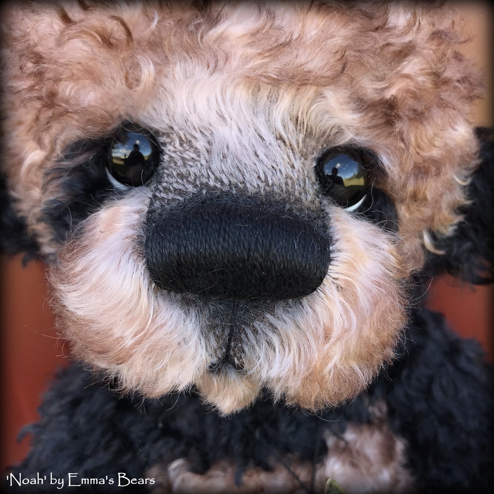 Noah - 16" curly kid mohair Artist Bear by Emma's Bears - OOAK