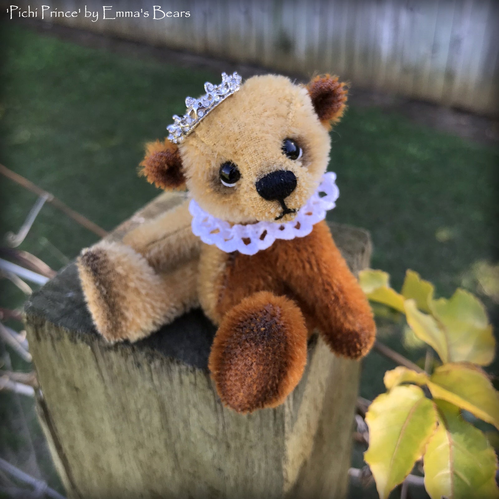Pichi Prince - 4" mohair artist mini bear by Emmas Bears - OOAK