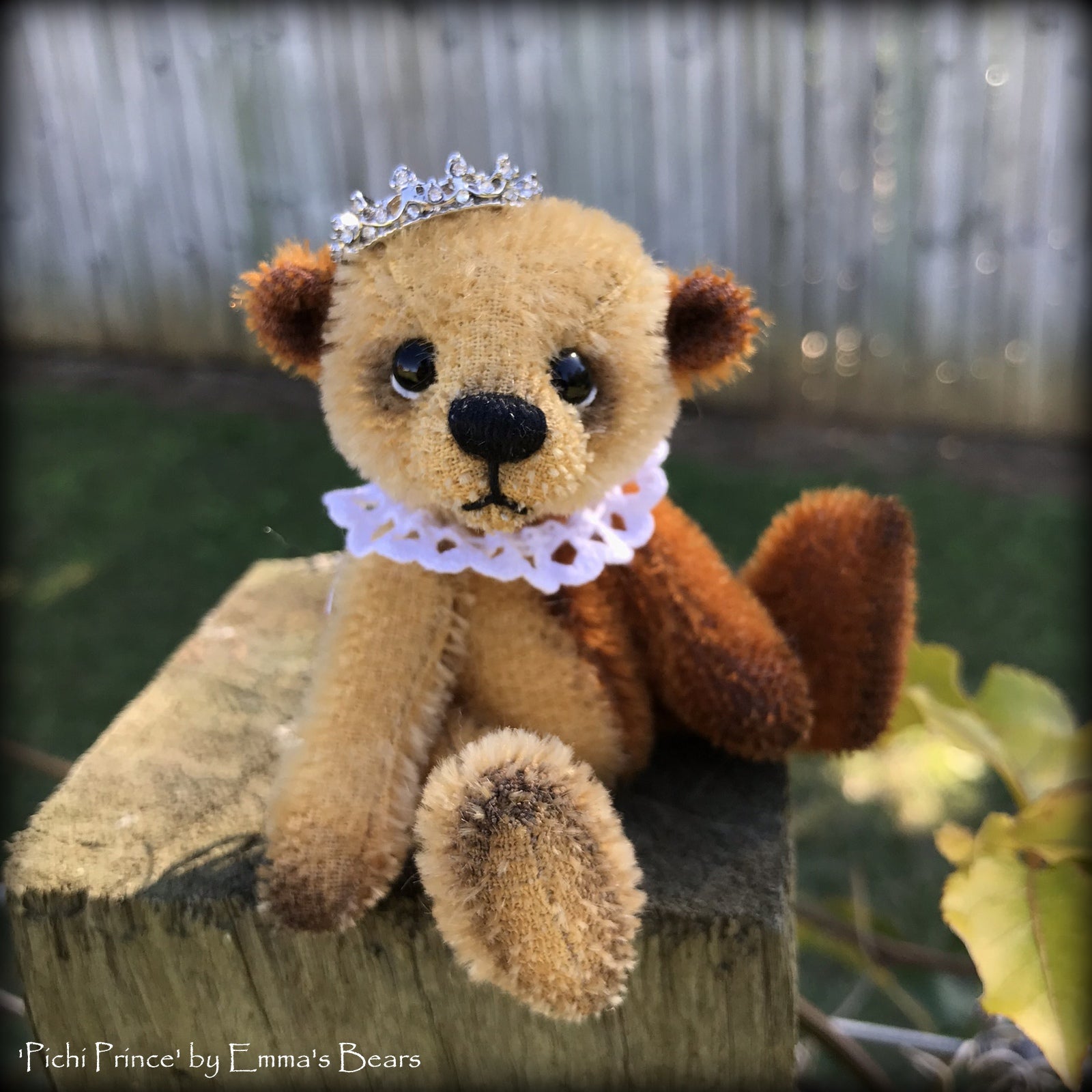 Pichi Prince - 4" mohair artist mini bear by Emmas Bears - OOAK