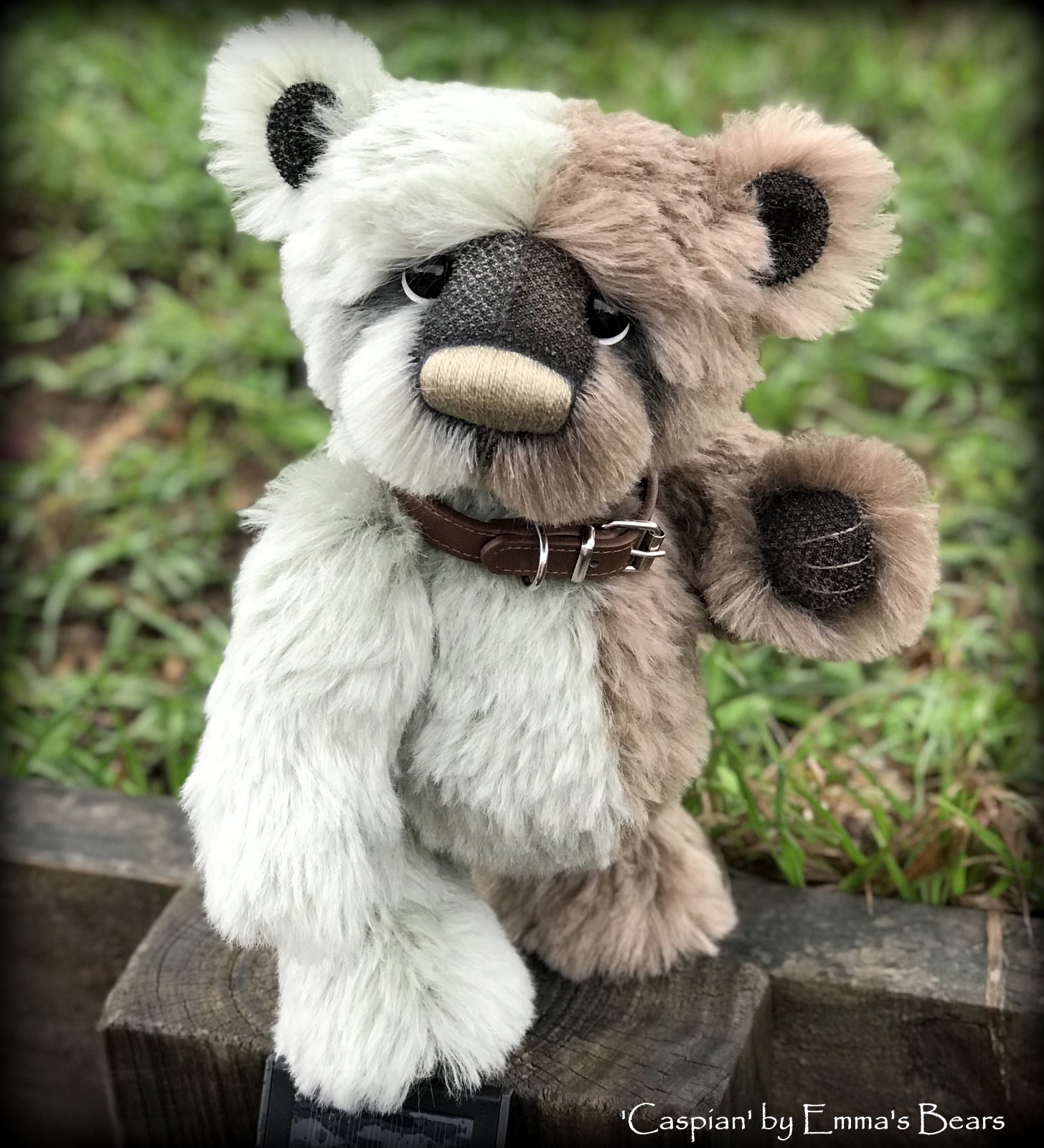 Caspian - 11" Mohair artist bear by Emma's Bears - OOAK