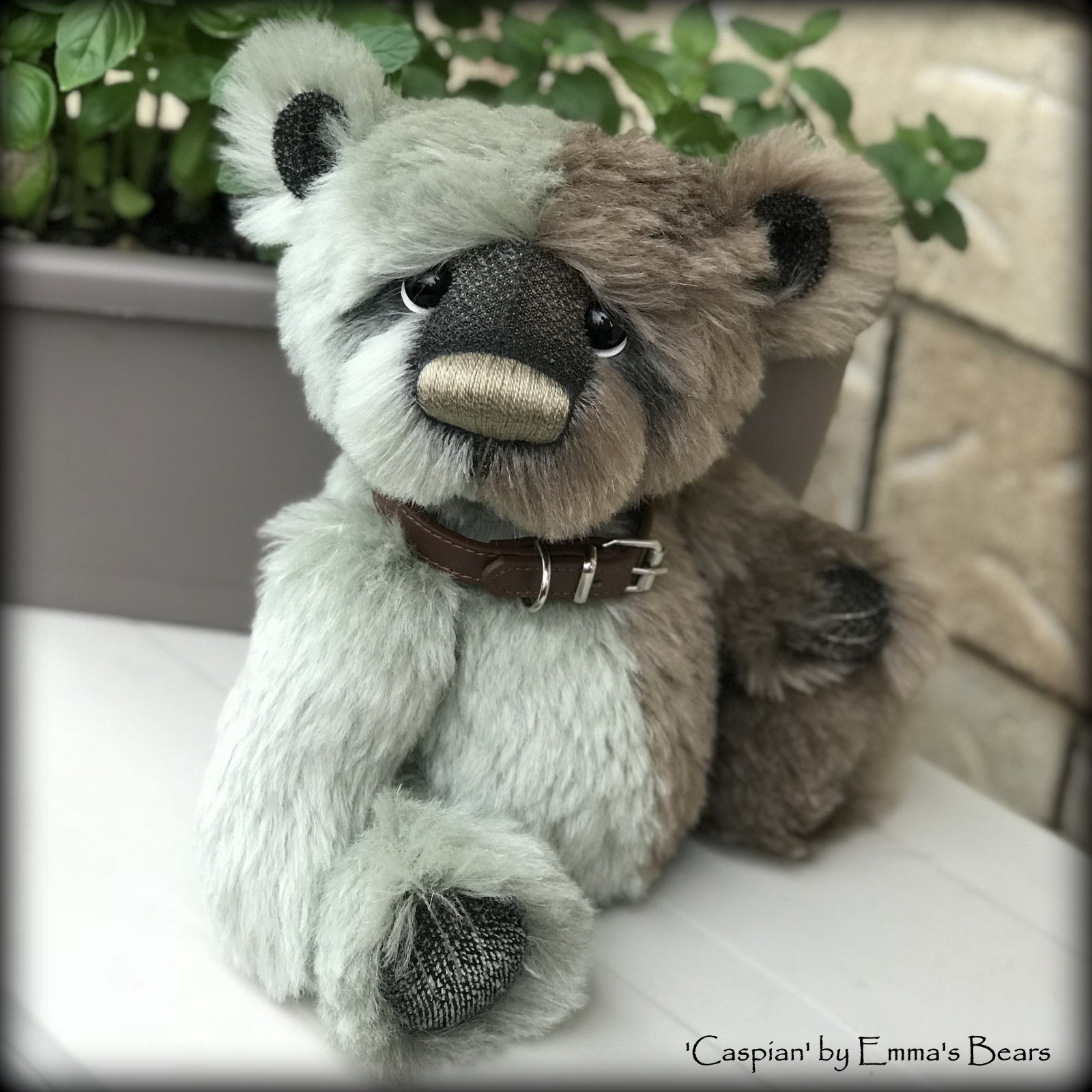 Caspian - 11" Mohair artist bear by Emma's Bears - OOAK