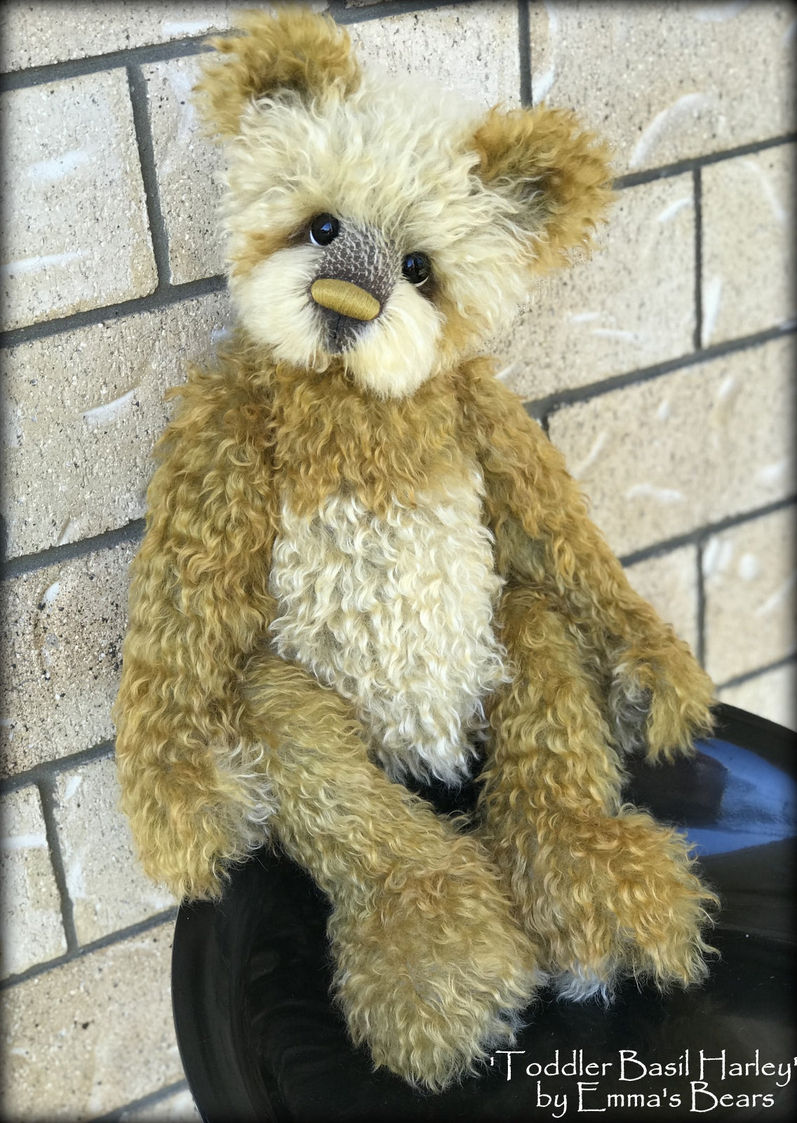 Basil Harley - 22in MOHAIR Artist toddler style Bear by Emmas Bears - OOAK