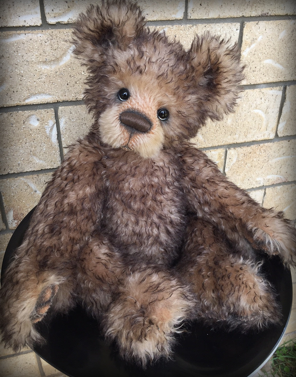 You choose the name and gender - 22in MOHAIR Artist toddler style Bear by Emmas Bears - OOAK