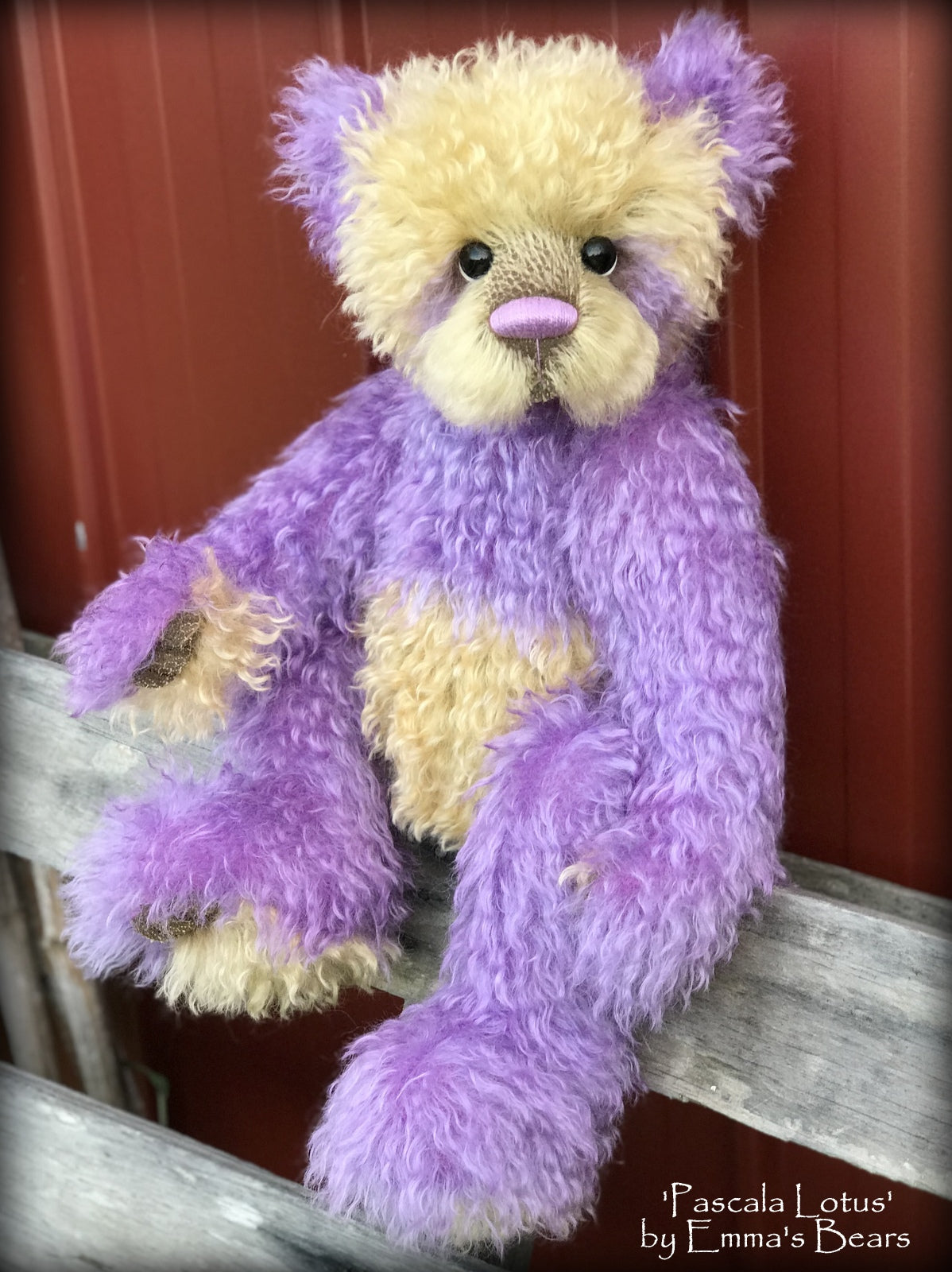 Toddler Pascala Lotus - 21in hand dyed mohair Artist toddler style Bear by Emma's Bears - OOAK