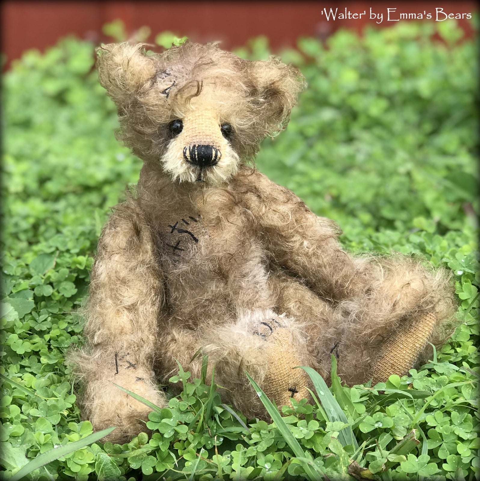 Walter - 10" Mohair Artist Bear by Emma's Bears - OOAK
