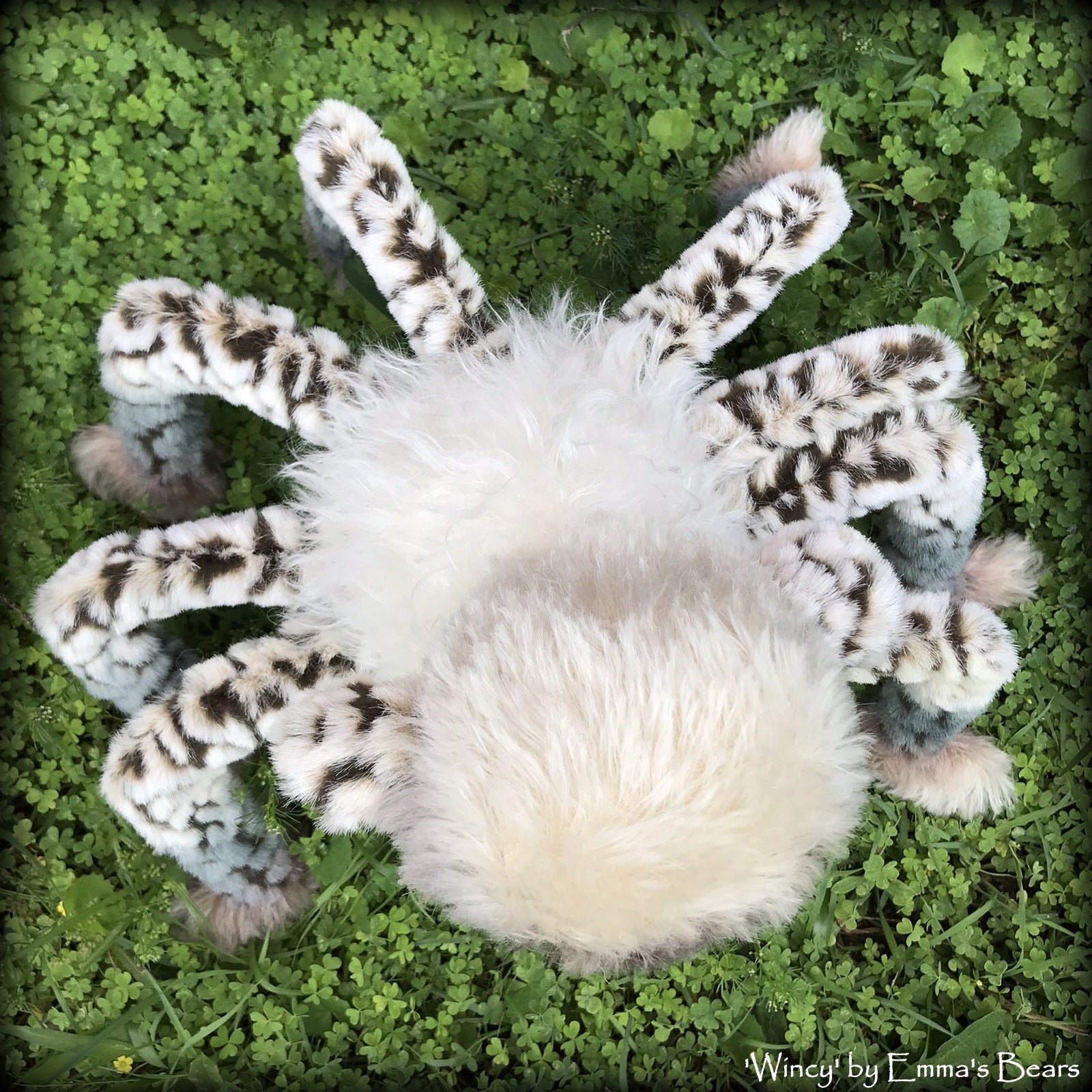 Wincy - 14" special Halloween Artist Spider-Bear by Emma's Bears - OOAK