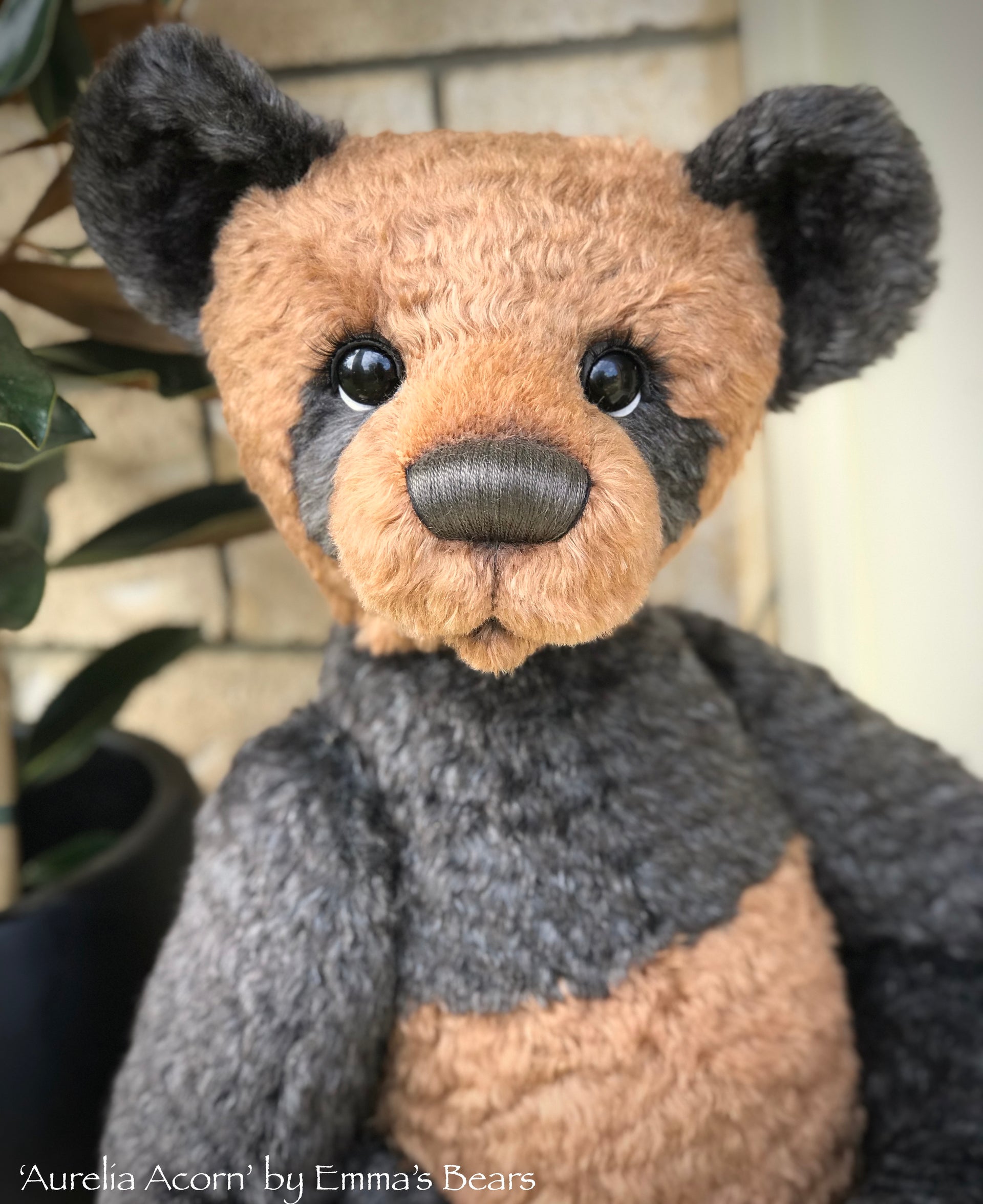 Aurelia Acorn - 26" Mohair Artist Bear by Emma's Bears - OOAK