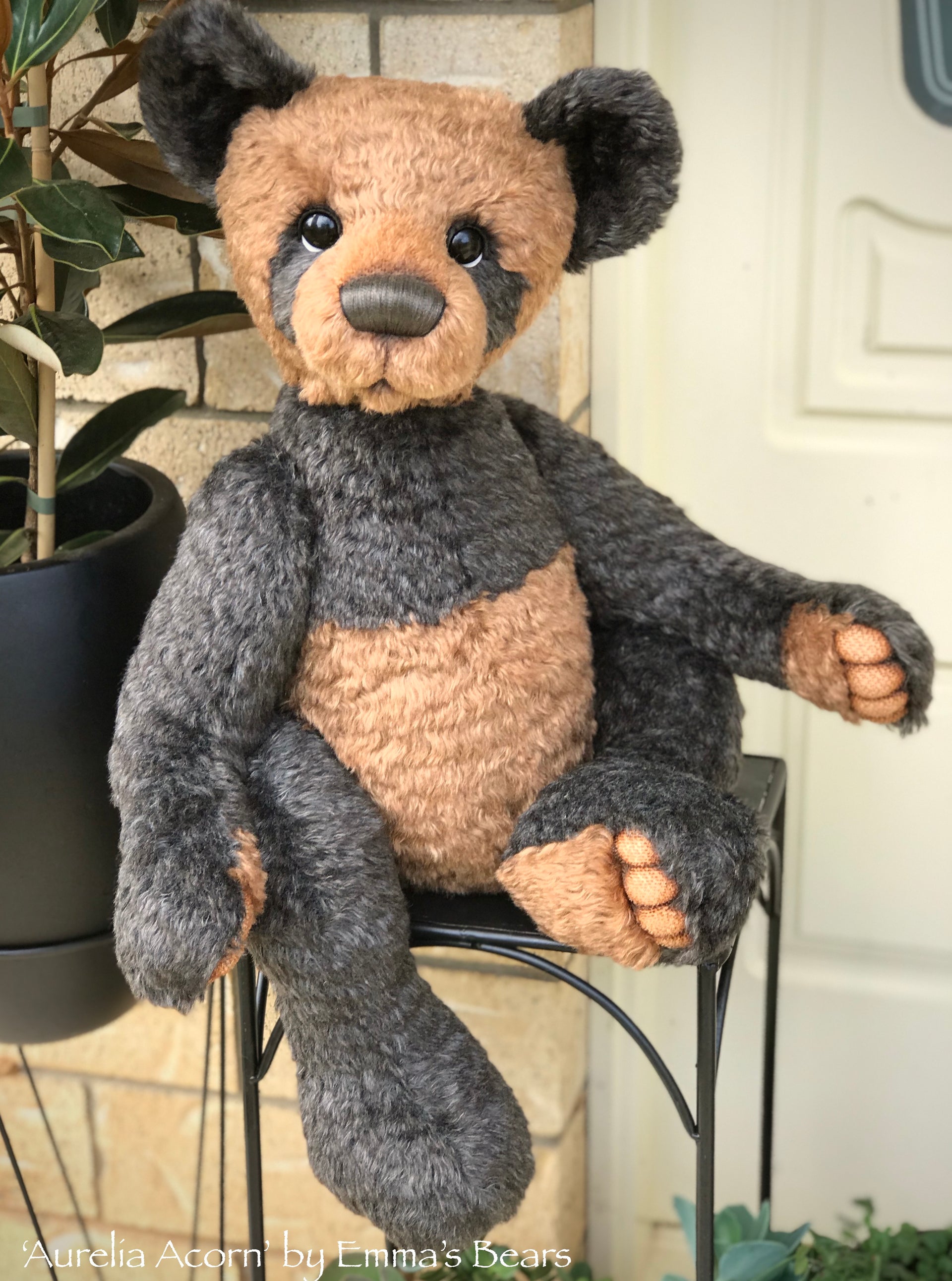 Aurelia Acorn - 26" Mohair Artist Bear by Emma's Bears - OOAK