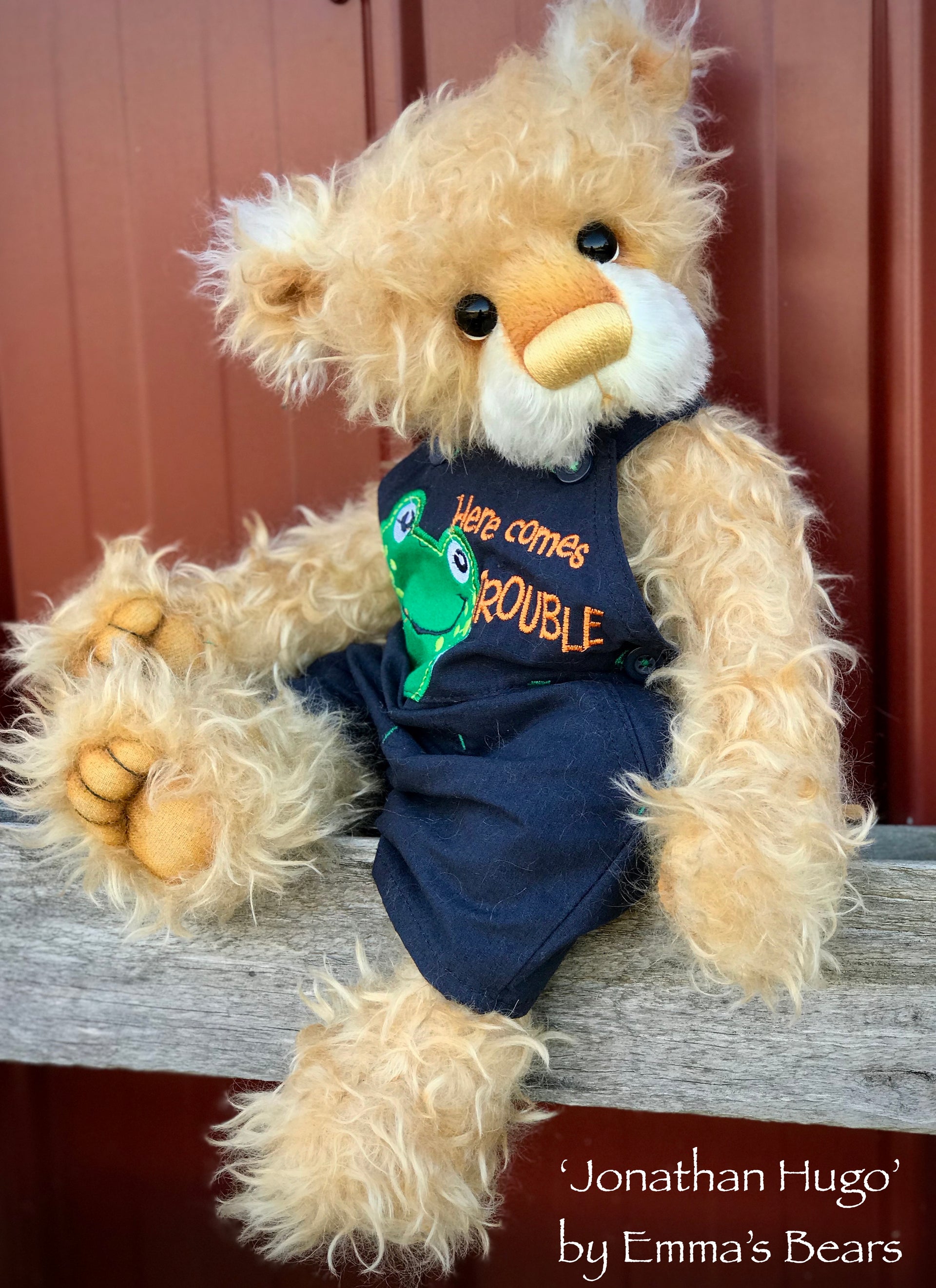 Jonathan Hugo - 18" Mohair Toddler Artist Bear by Emma's Bears - OOAK