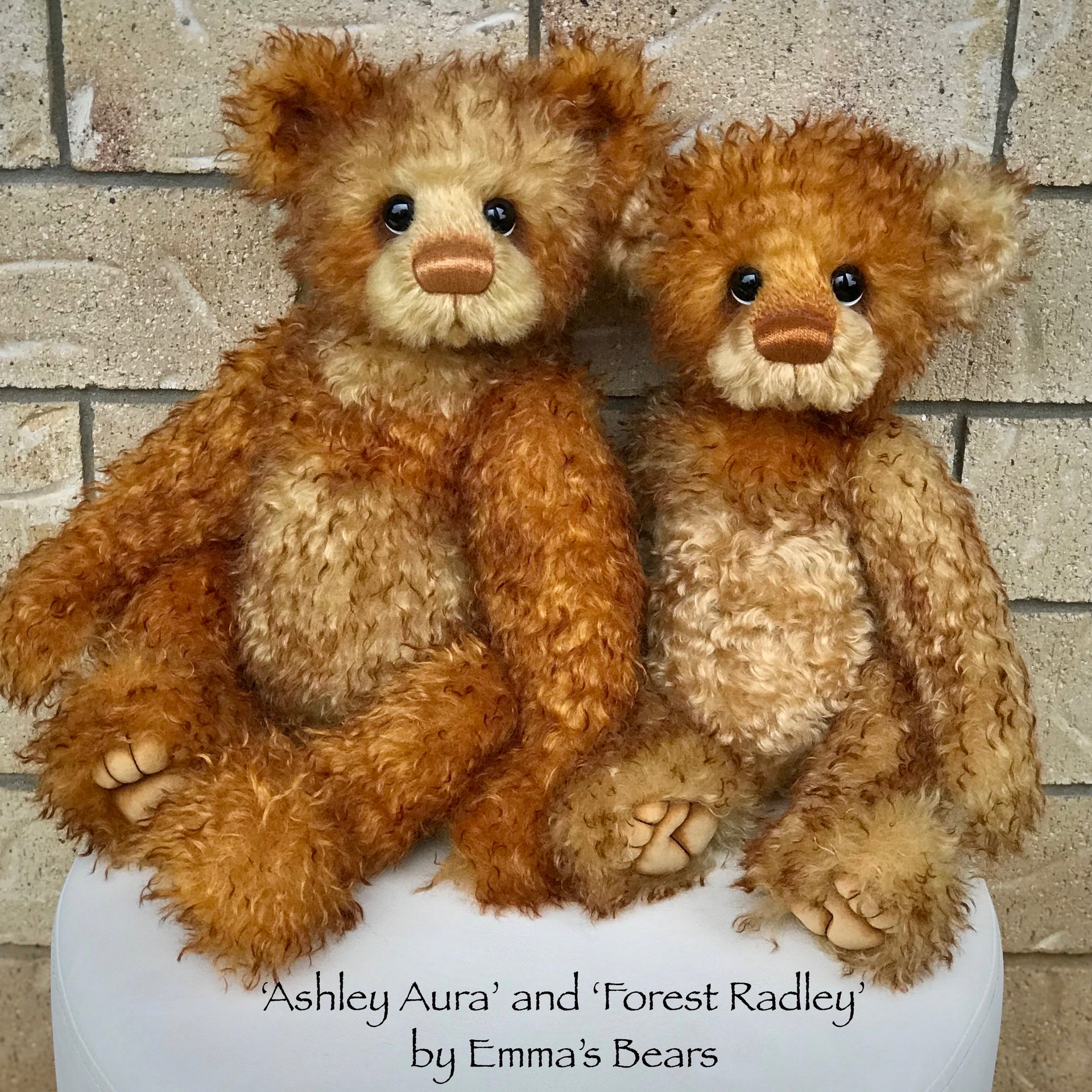 Ashley Aura - 21" Hand Dyed Mohair Toddler Artist Bear by Emma's Bears - OOAK