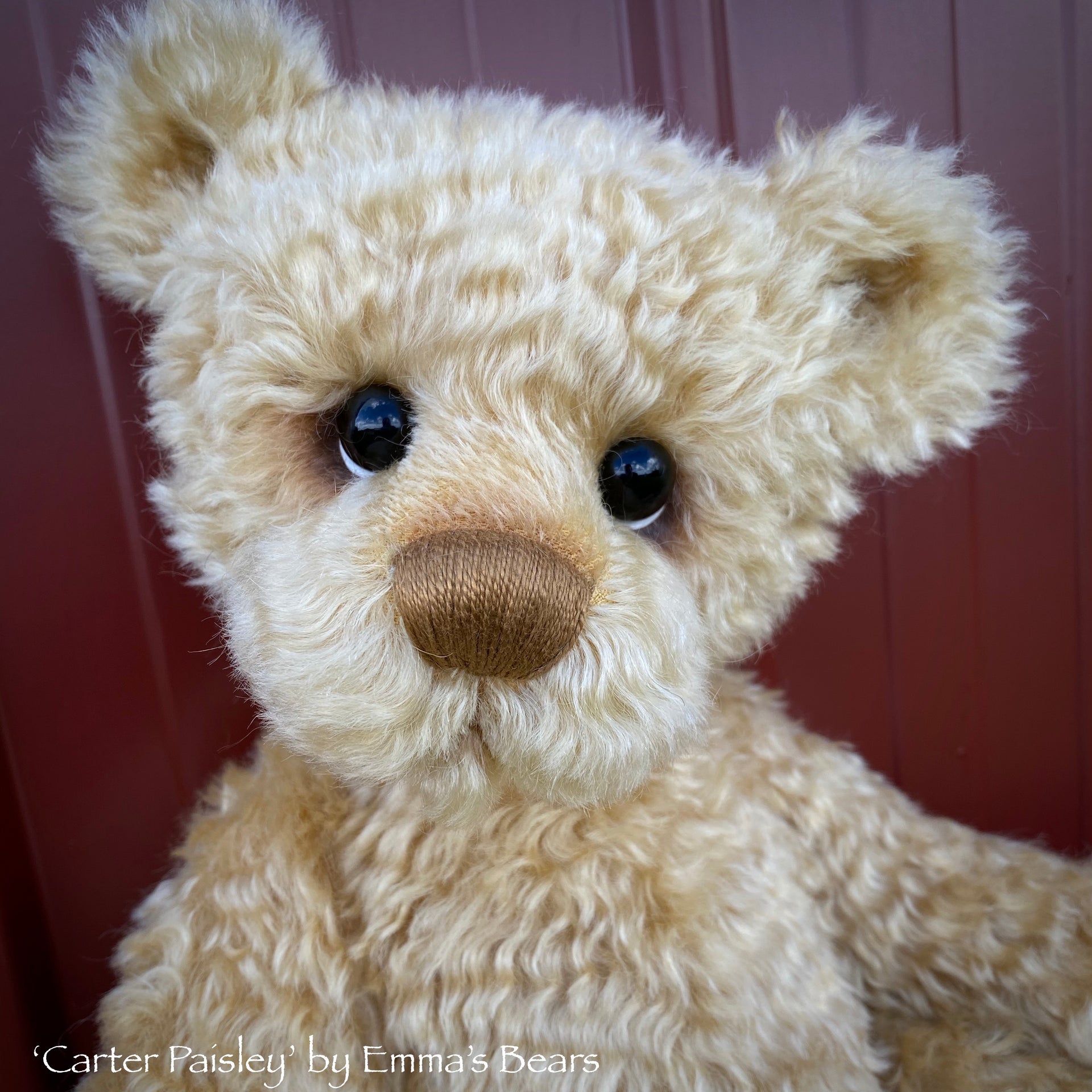 Carter Paisley - 18" Baby Artist Bear by Emma's Bears - OOAK