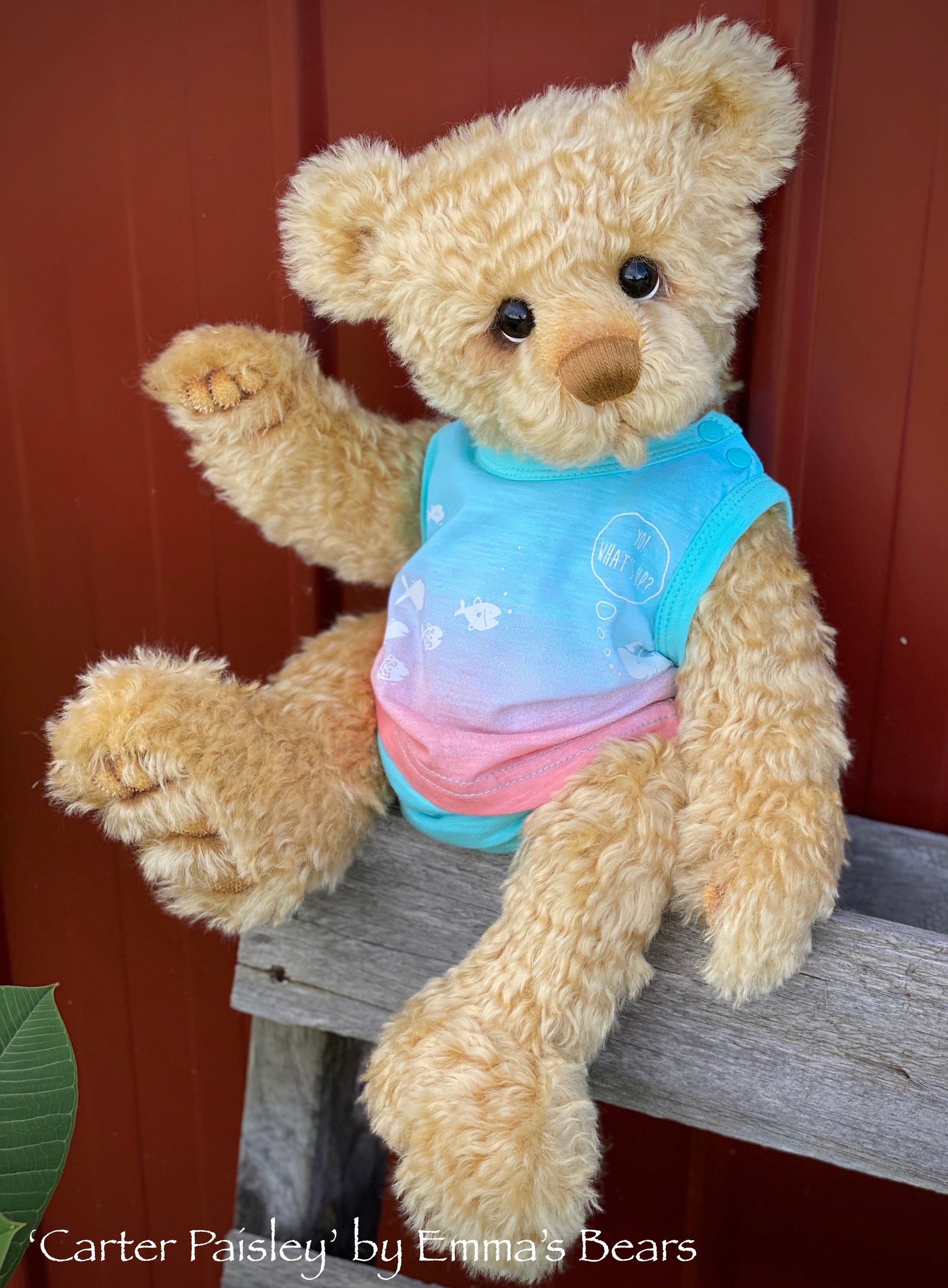 Carter Paisley - 18" Baby Artist Bear by Emma's Bears - OOAK