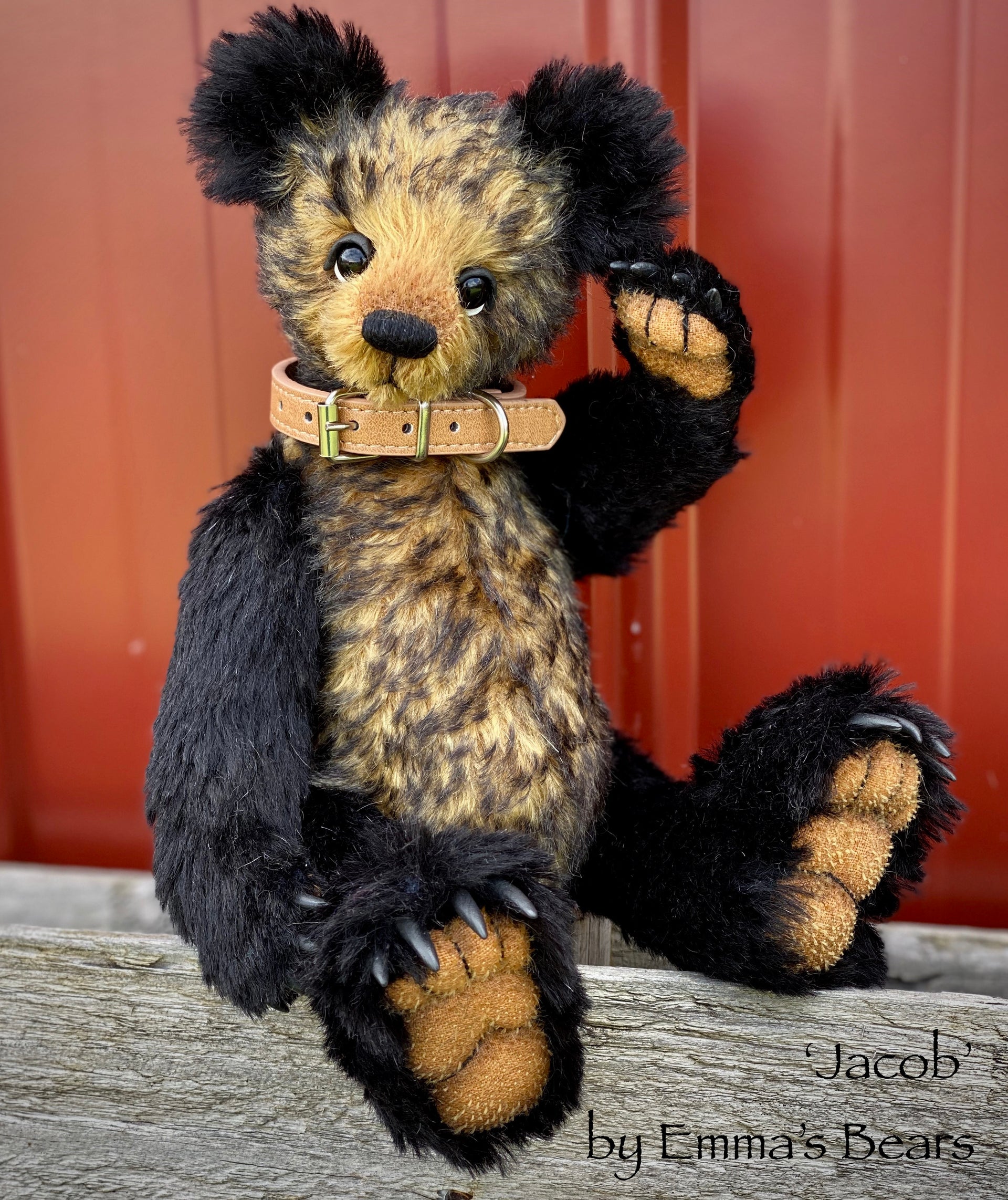 Jacob - 12" Mohair Artist Bear by Emmas Bears - OOAK