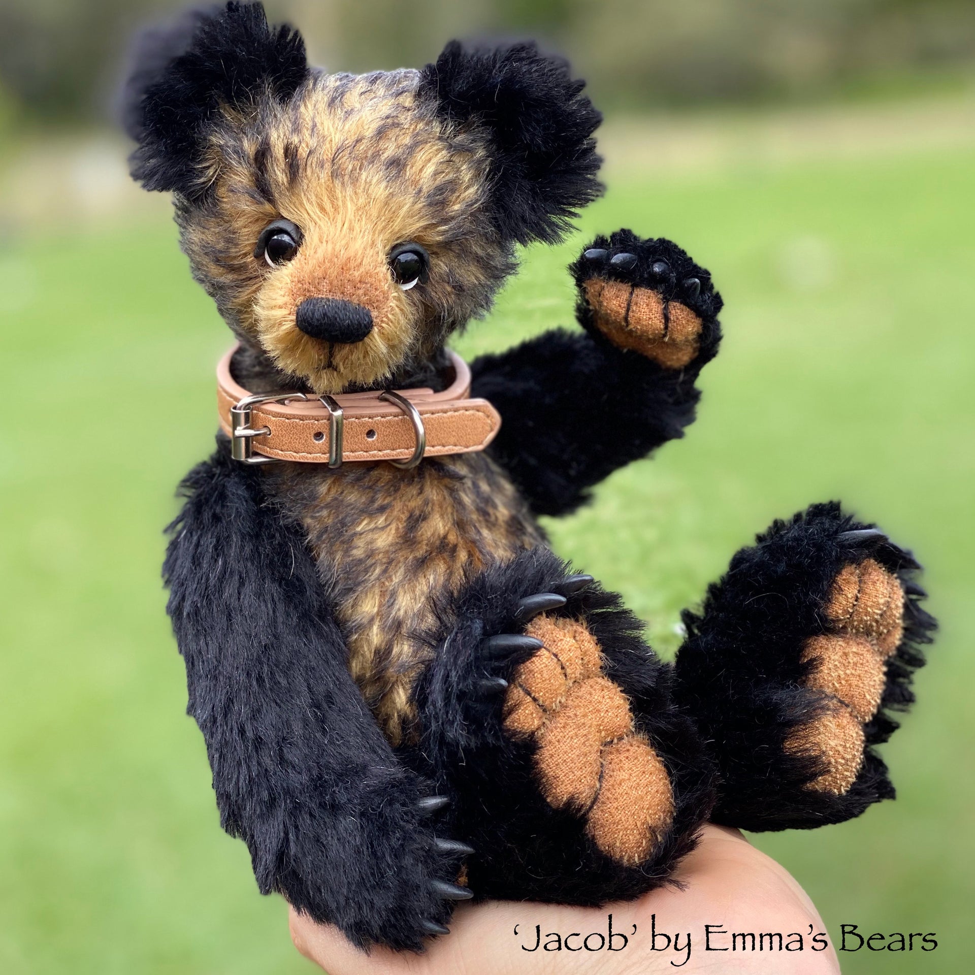 Jacob - 12" Mohair Artist Bear by Emmas Bears - OOAK