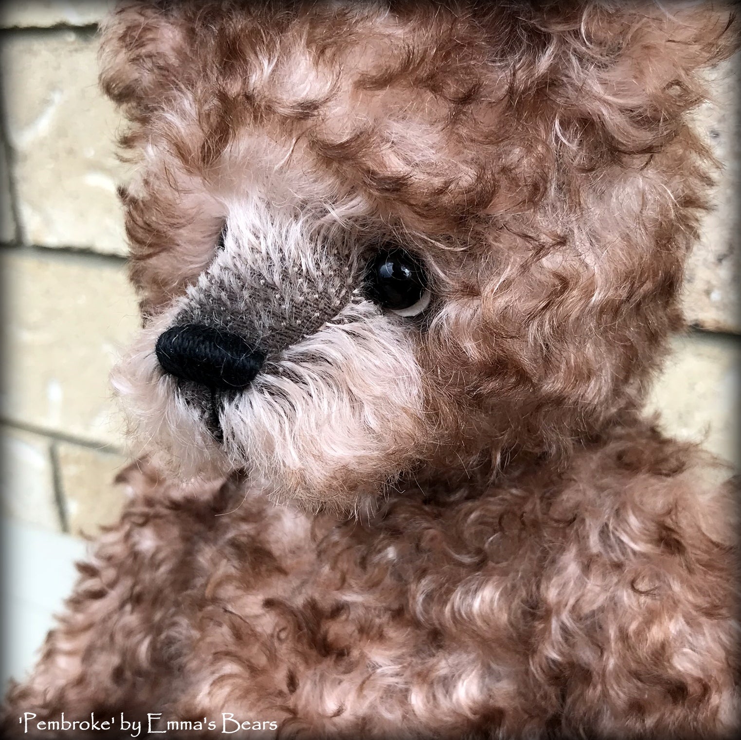 Pembroke - 14" curly kid mohair Artist Bear by Emmas Bears - OOAK