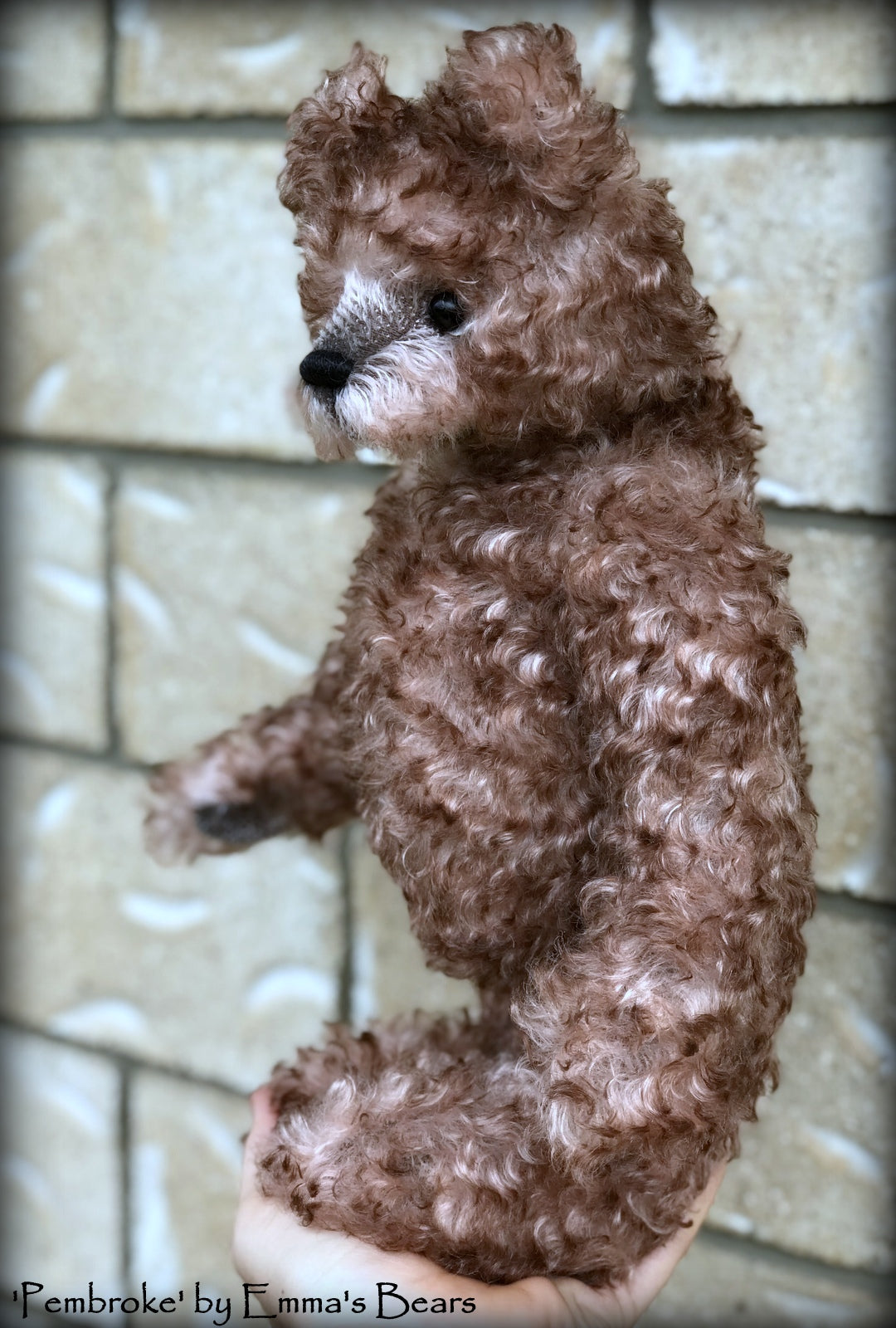 Pembroke - 14" curly kid mohair Artist Bear by Emmas Bears - OOAK