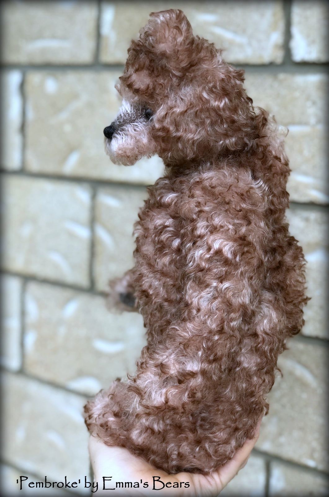 Pembroke - 14" curly kid mohair Artist Bear by Emmas Bears - OOAK