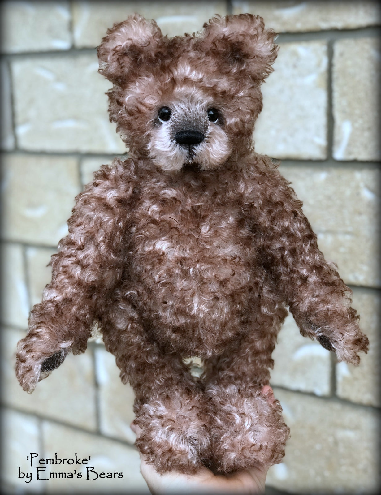 Pembroke - 14" curly kid mohair Artist Bear by Emmas Bears - OOAK
